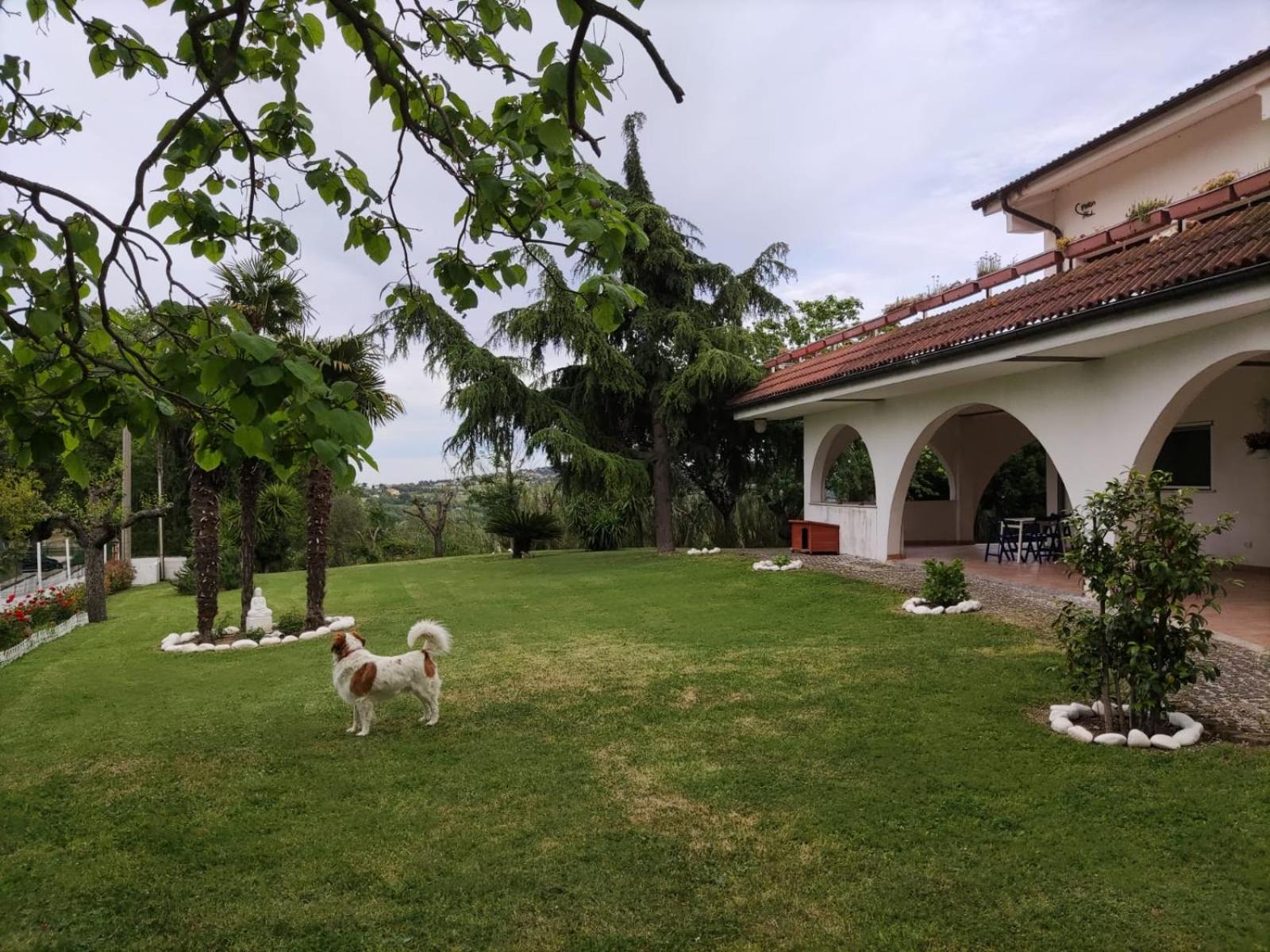 Photo 19