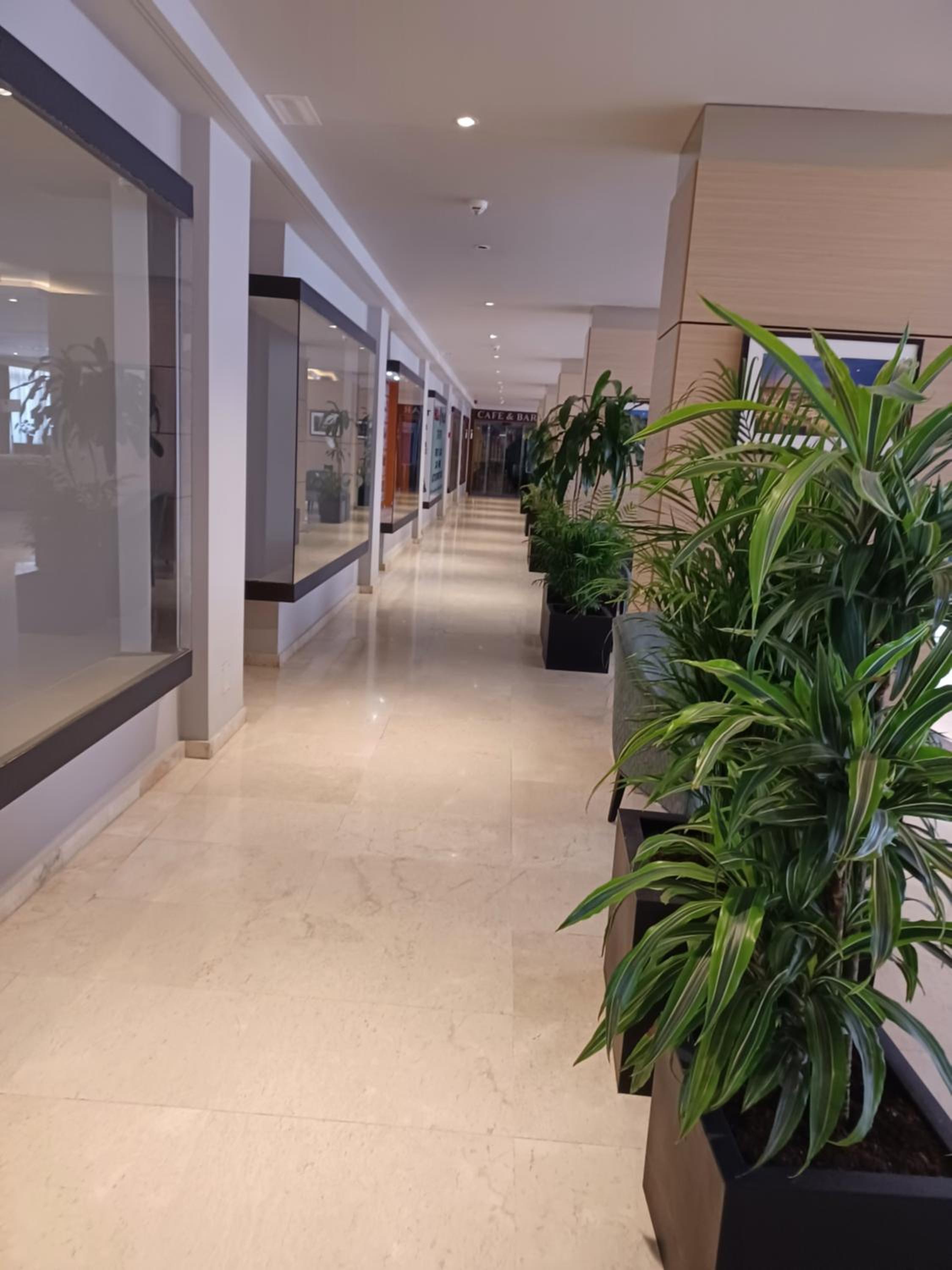 recepcion & lobby