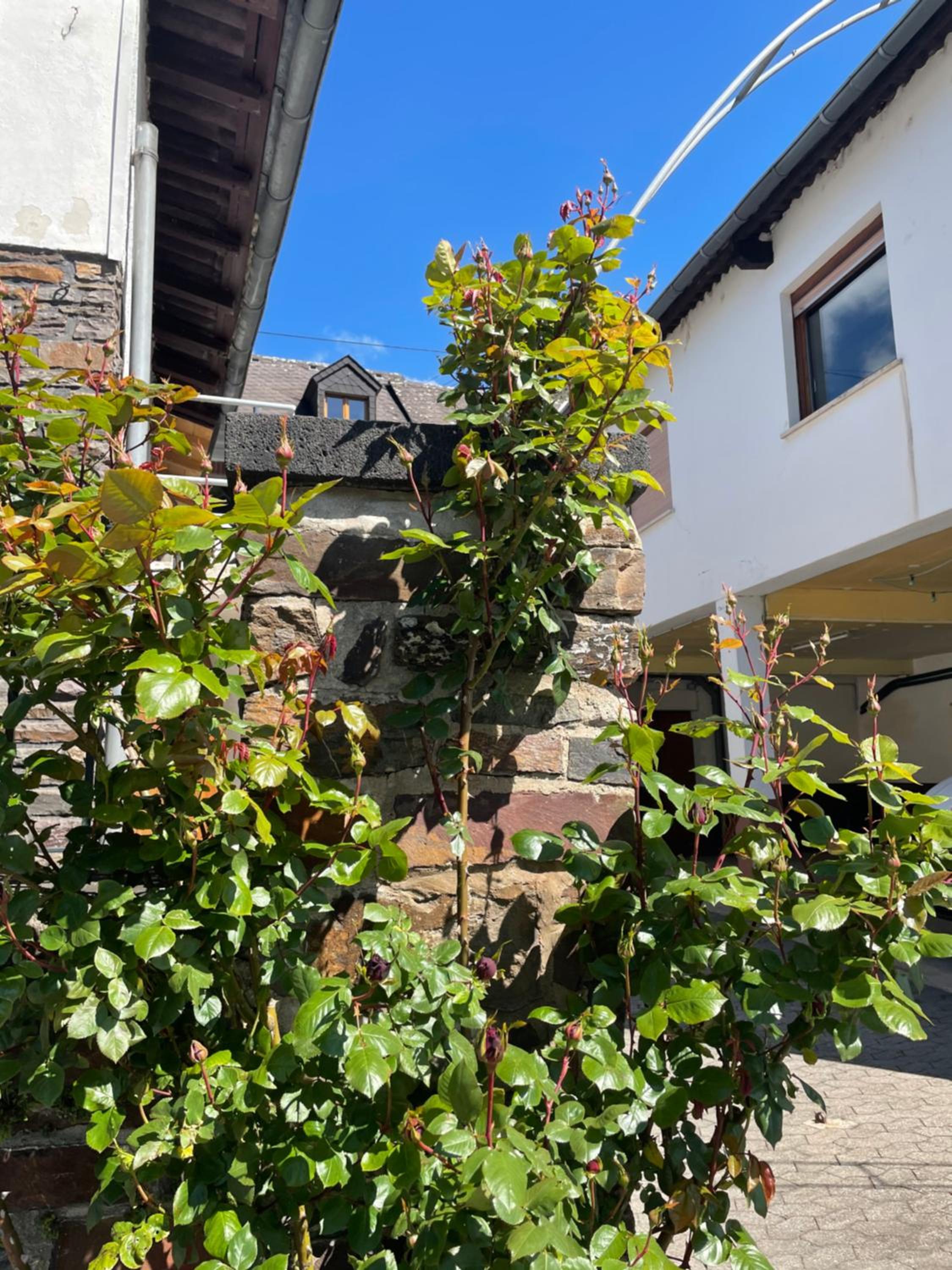 Altes Weingut Bröhl