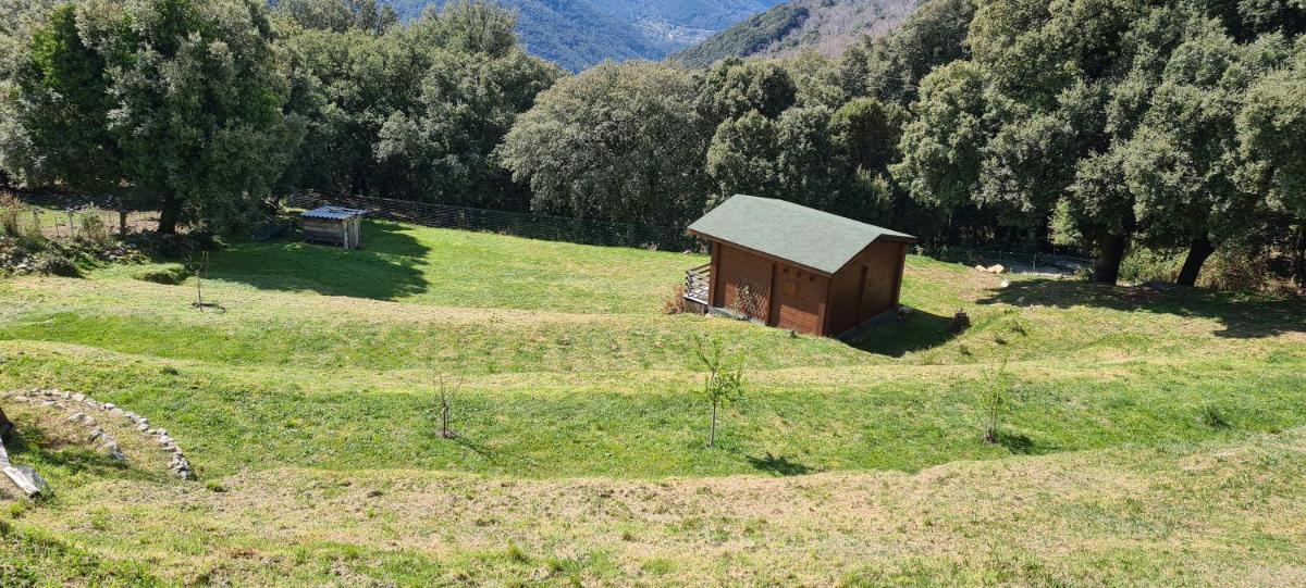 Casa Sarrinca view 4