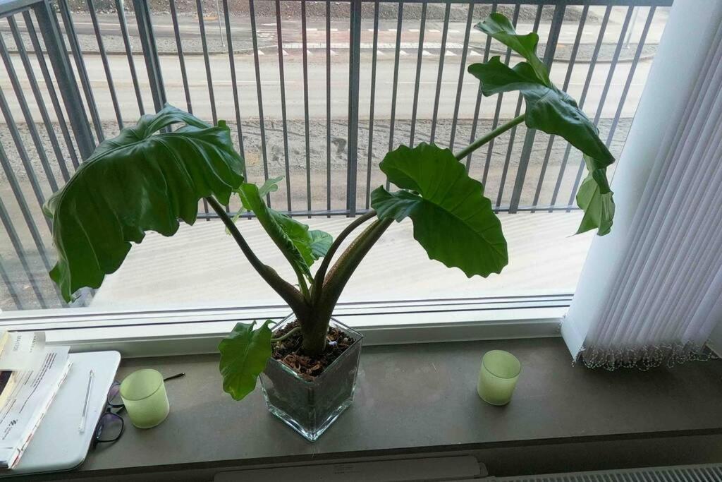 other