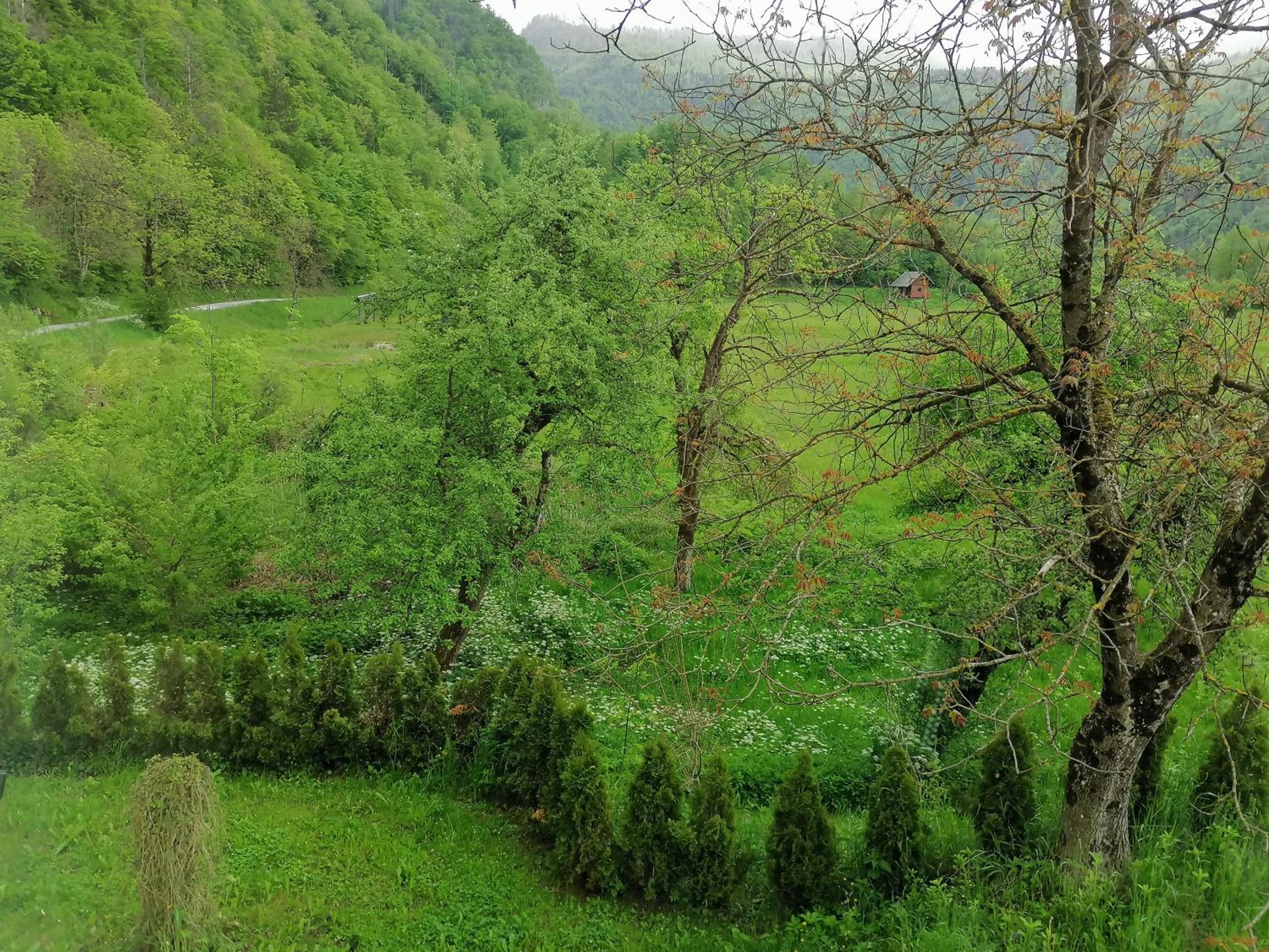Photo 45