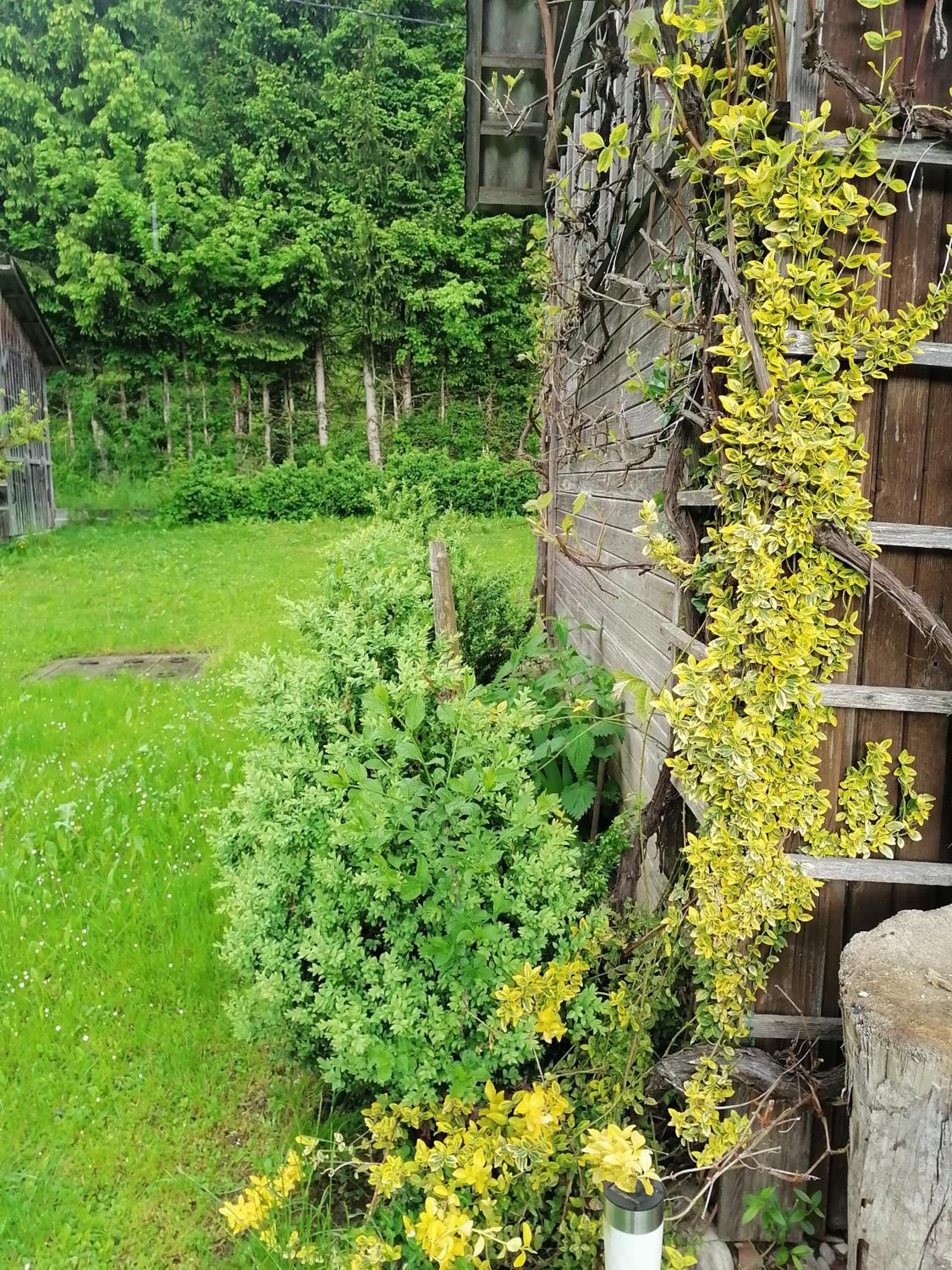 Photo 47