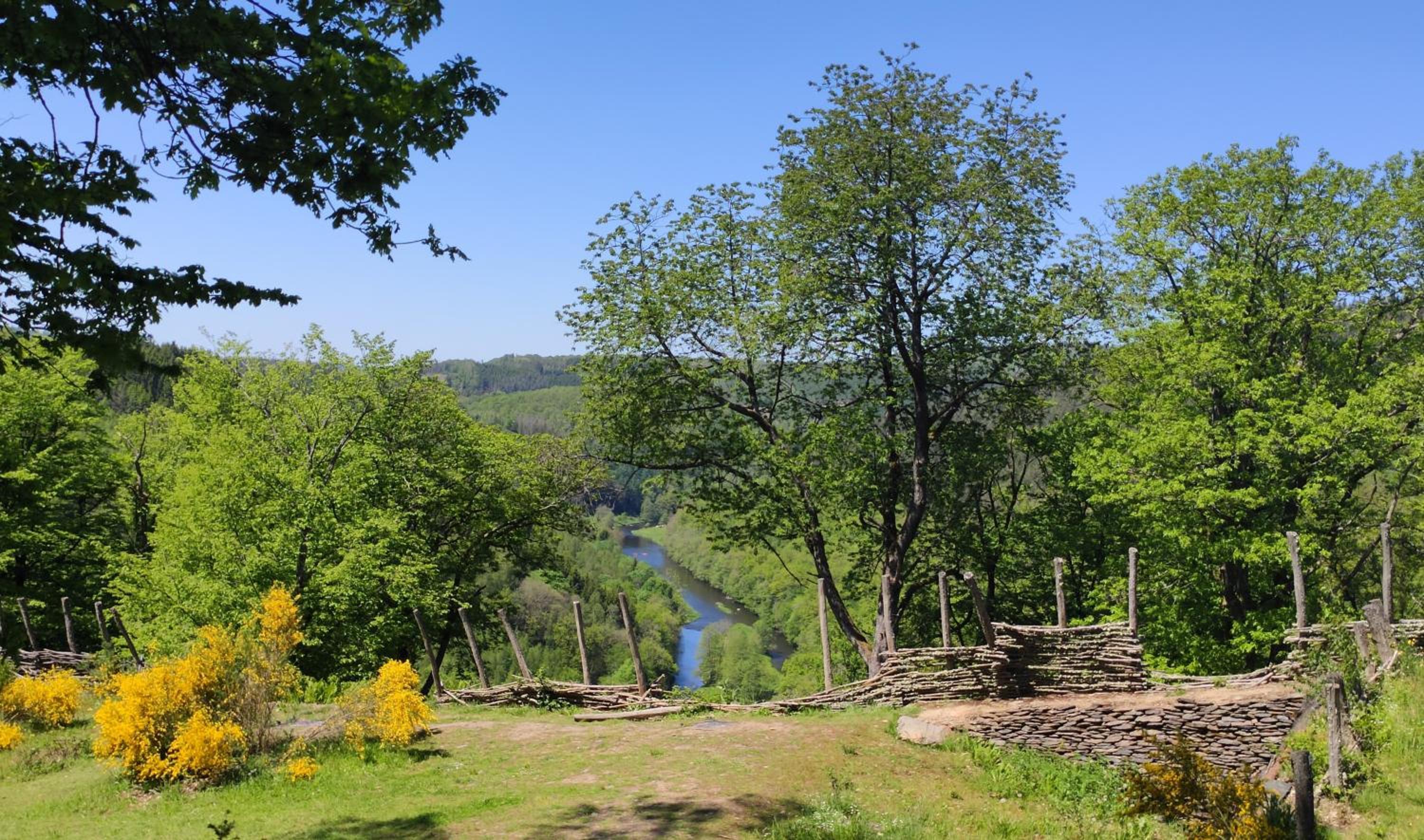 Le Héron