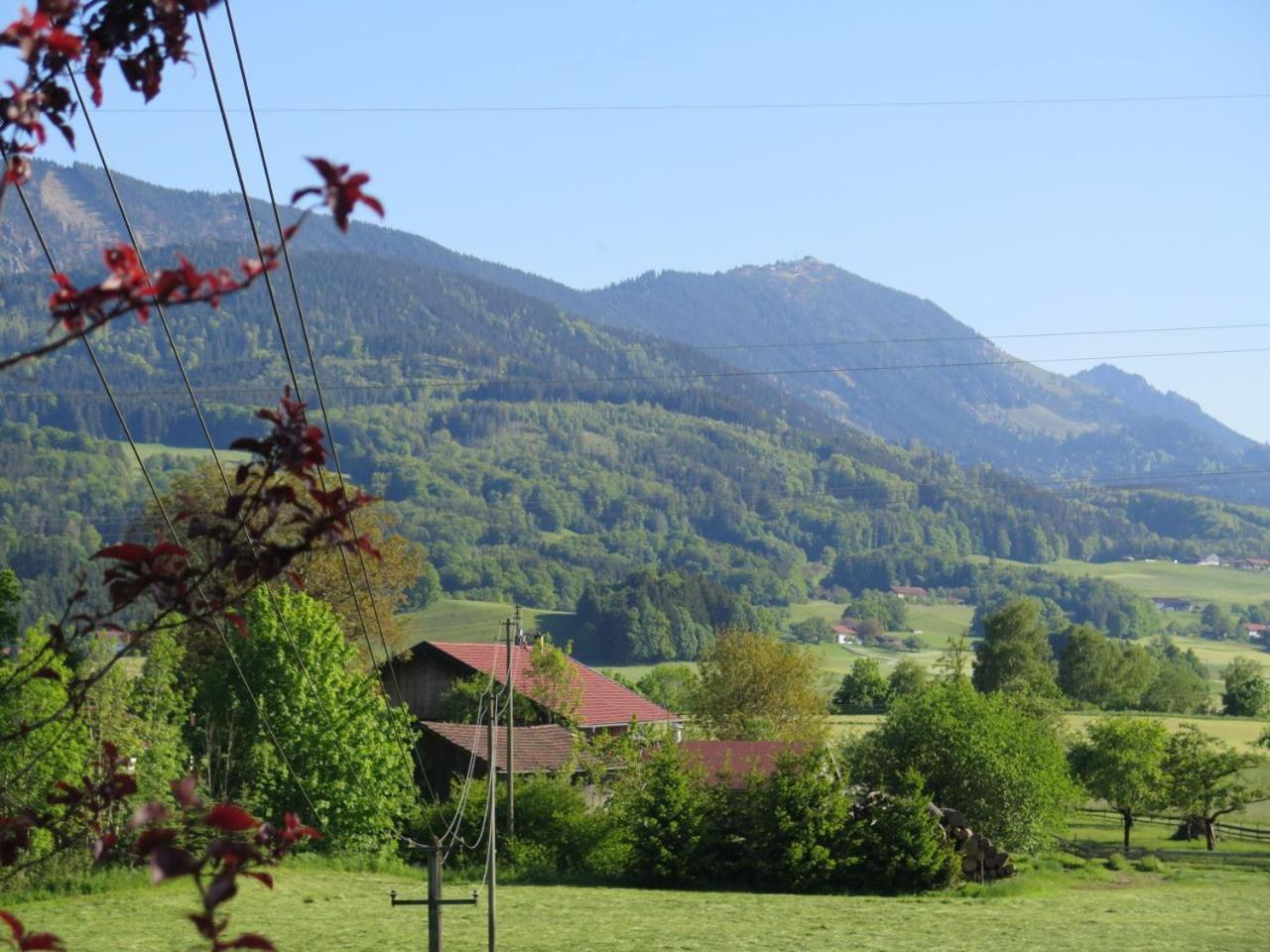 Ferienwohnung Riesenblick view 5