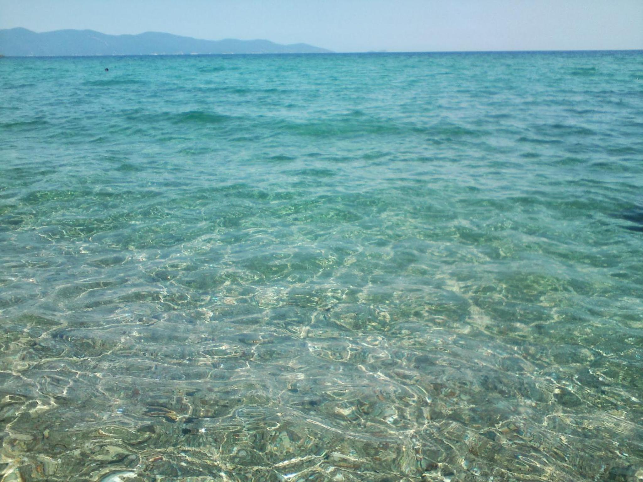 Nautilos