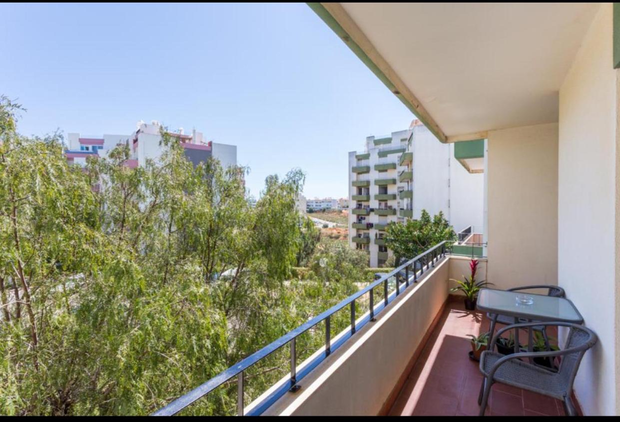 T3 Alex,moderno iluminado e amplo,excelente local view 4