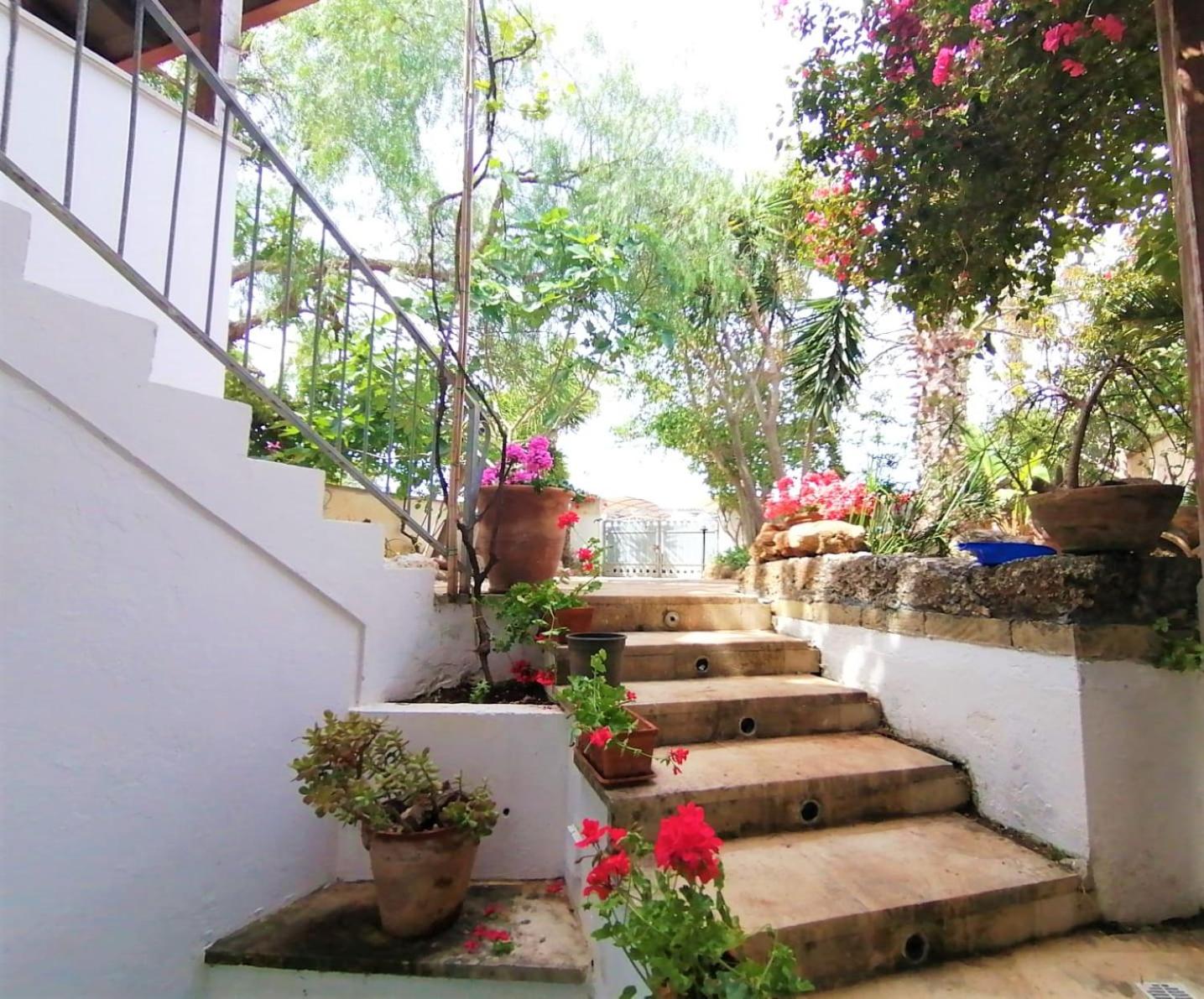 Photo 48