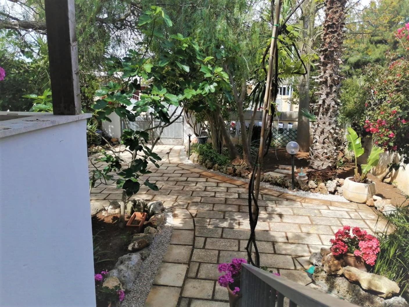 Photo 52