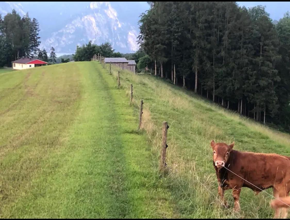 Ferienhaus am Traunsee mit Bergsicht