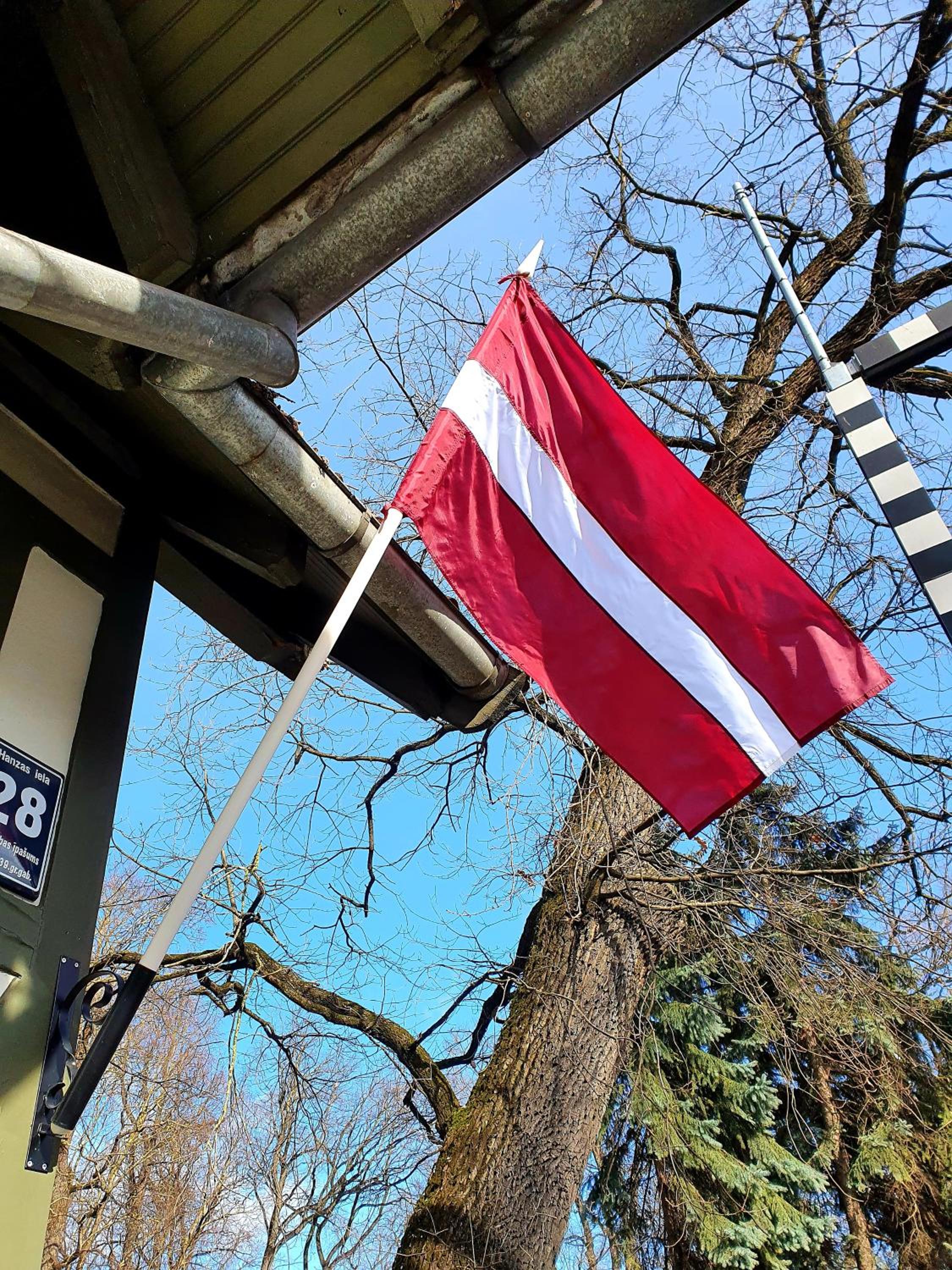 Photo 51