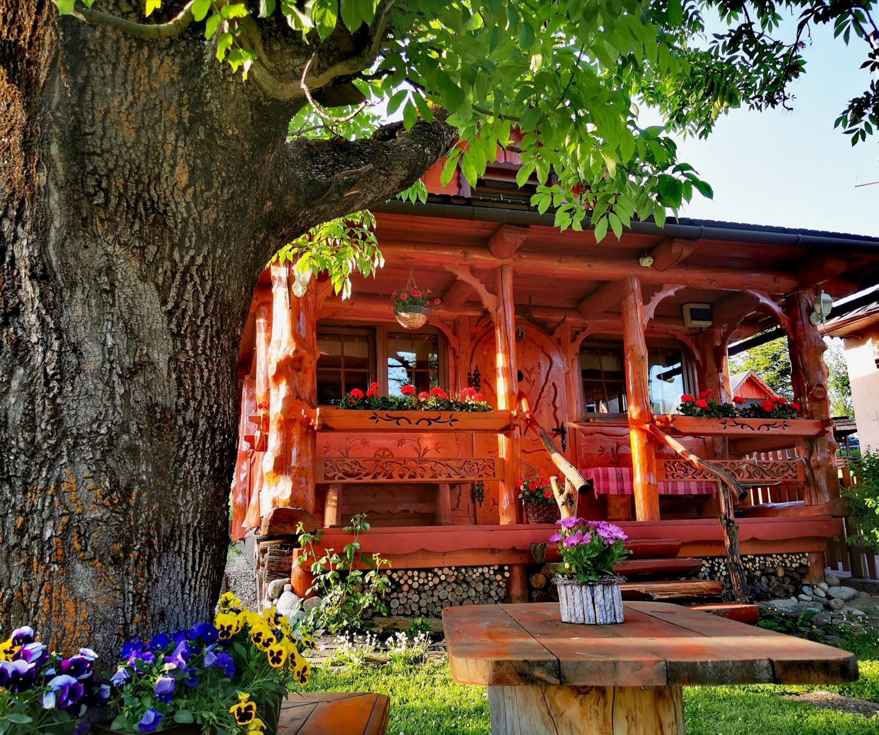 Photo 17