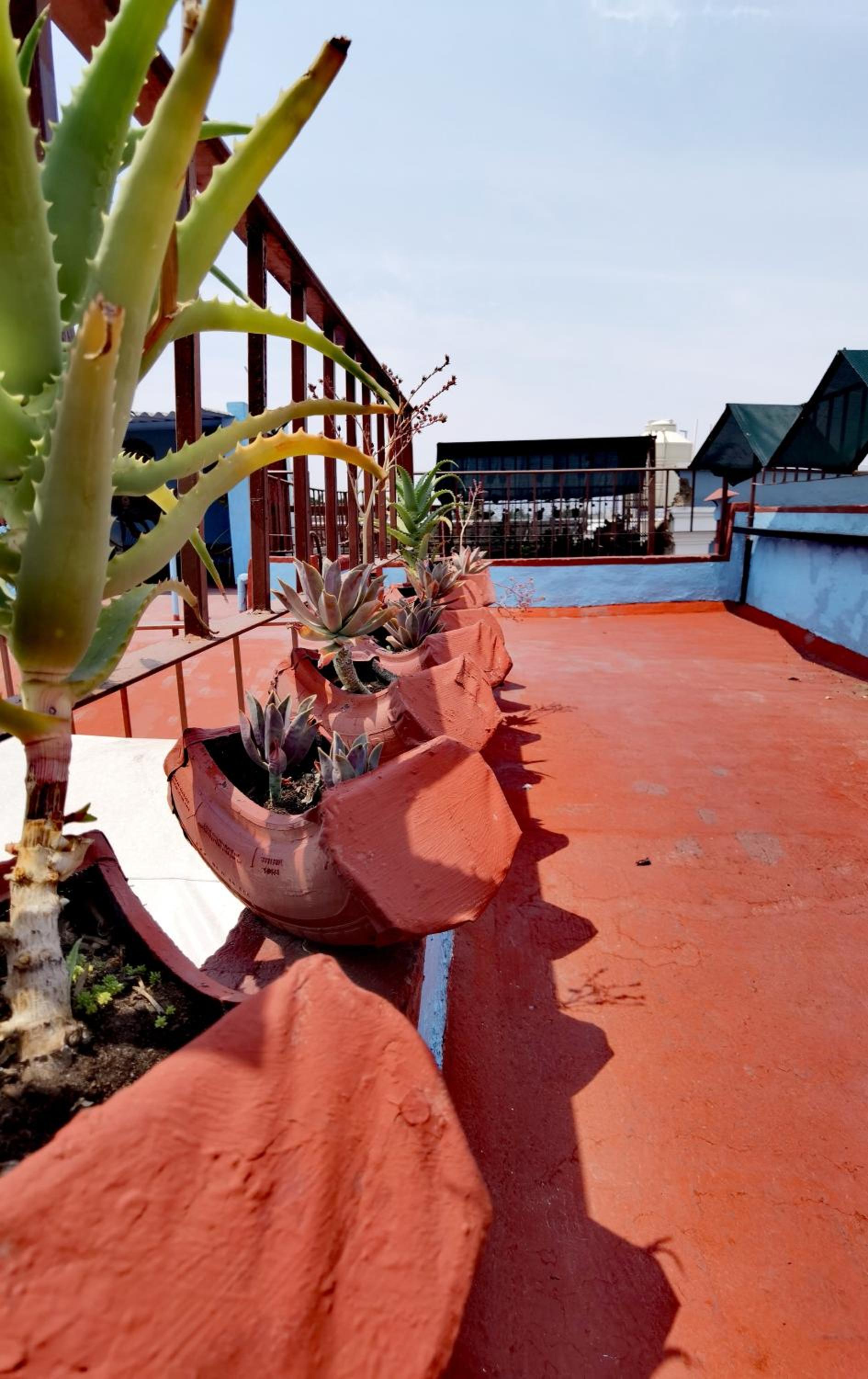 The Roof Backpackers