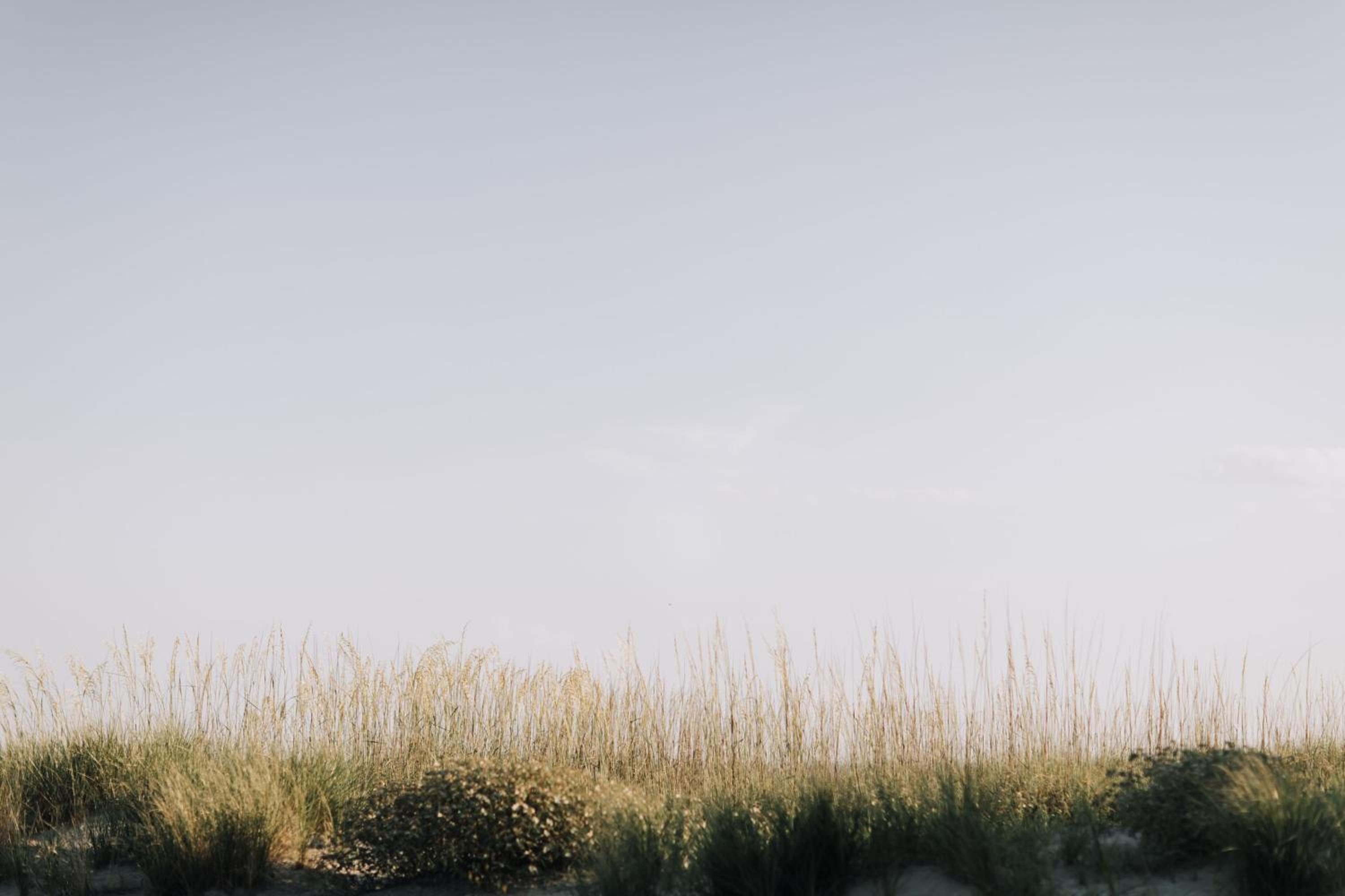 Beach House Resort Hilton Head Island