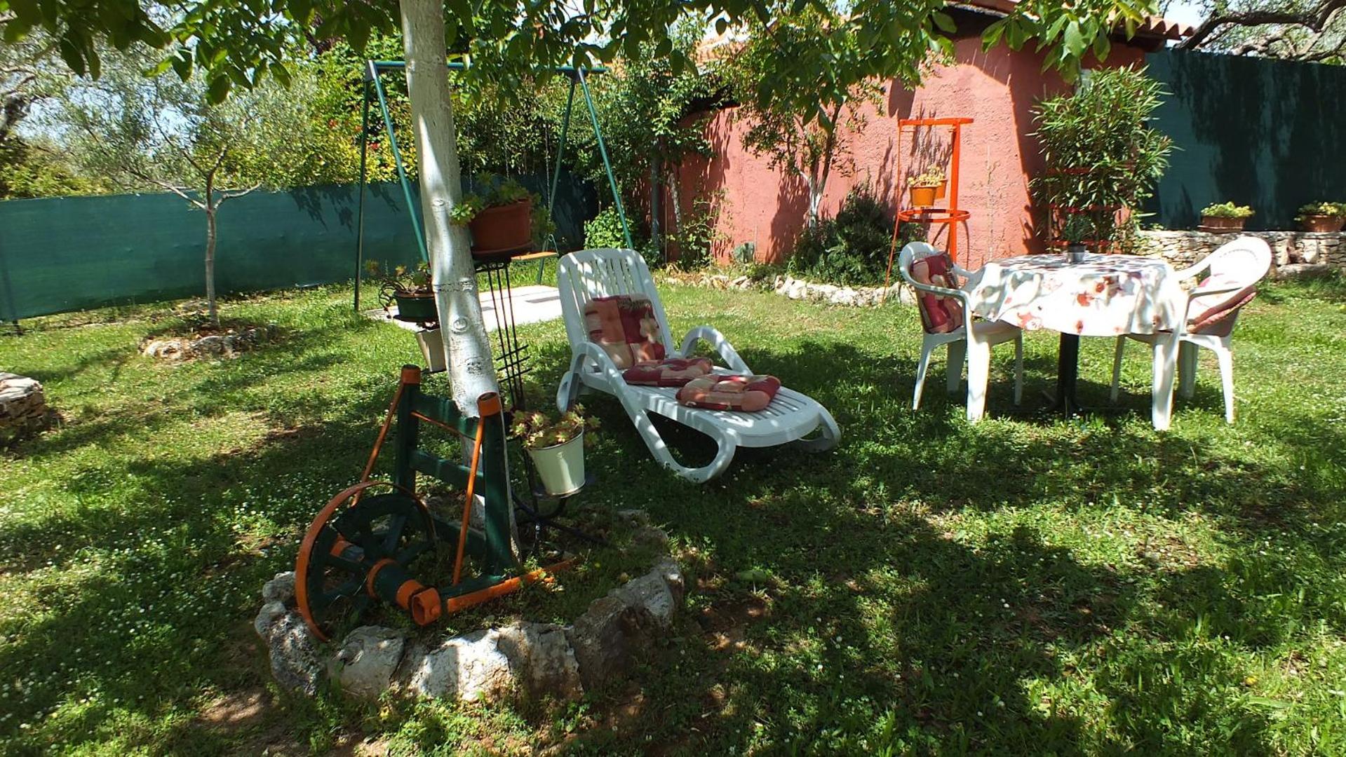 Photo 44