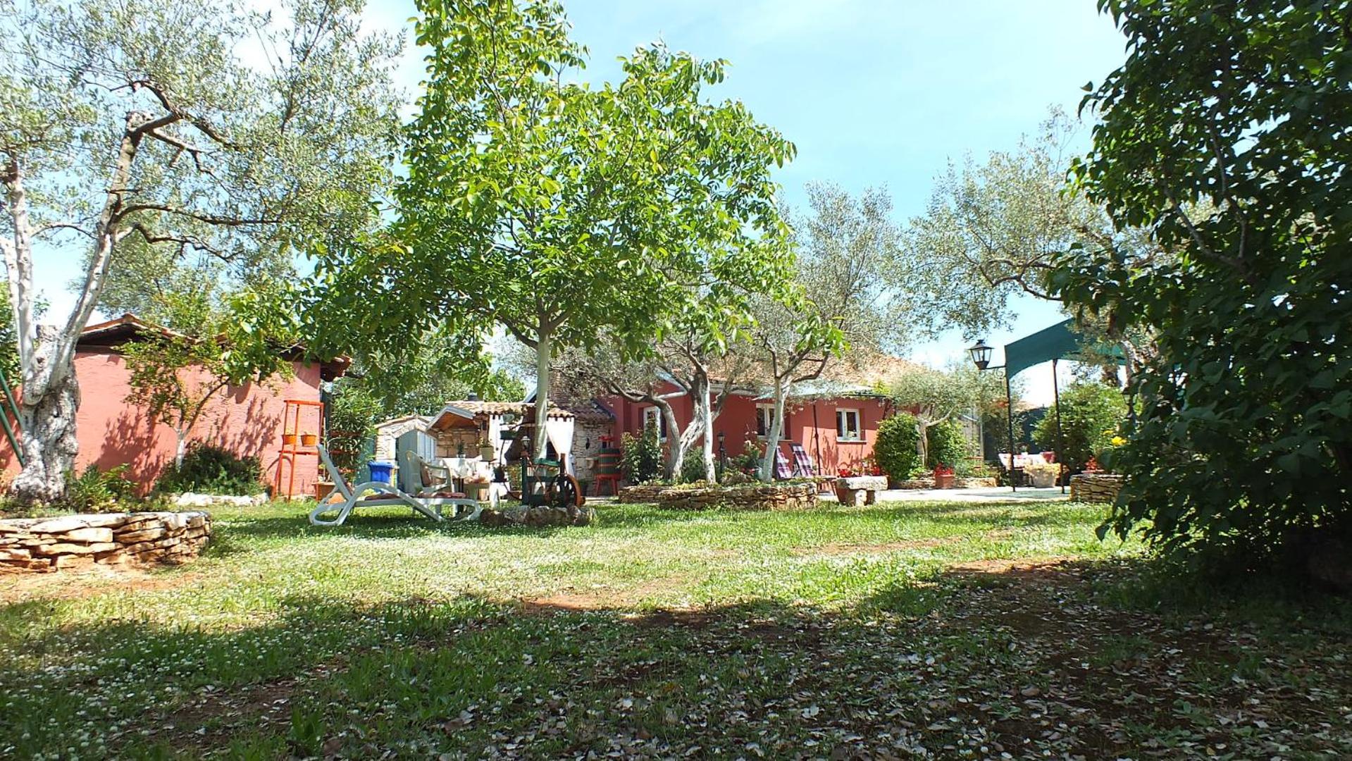 Photo 43