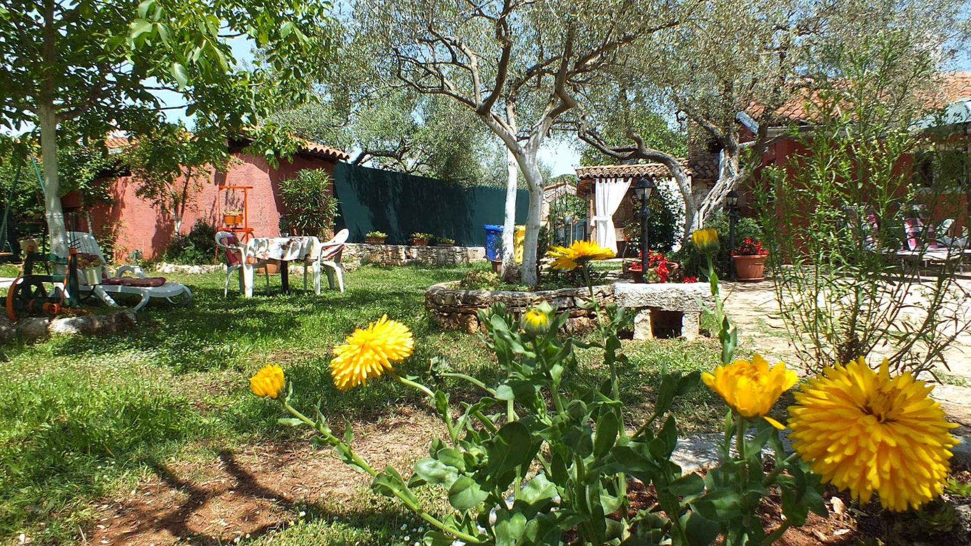 Photo 41