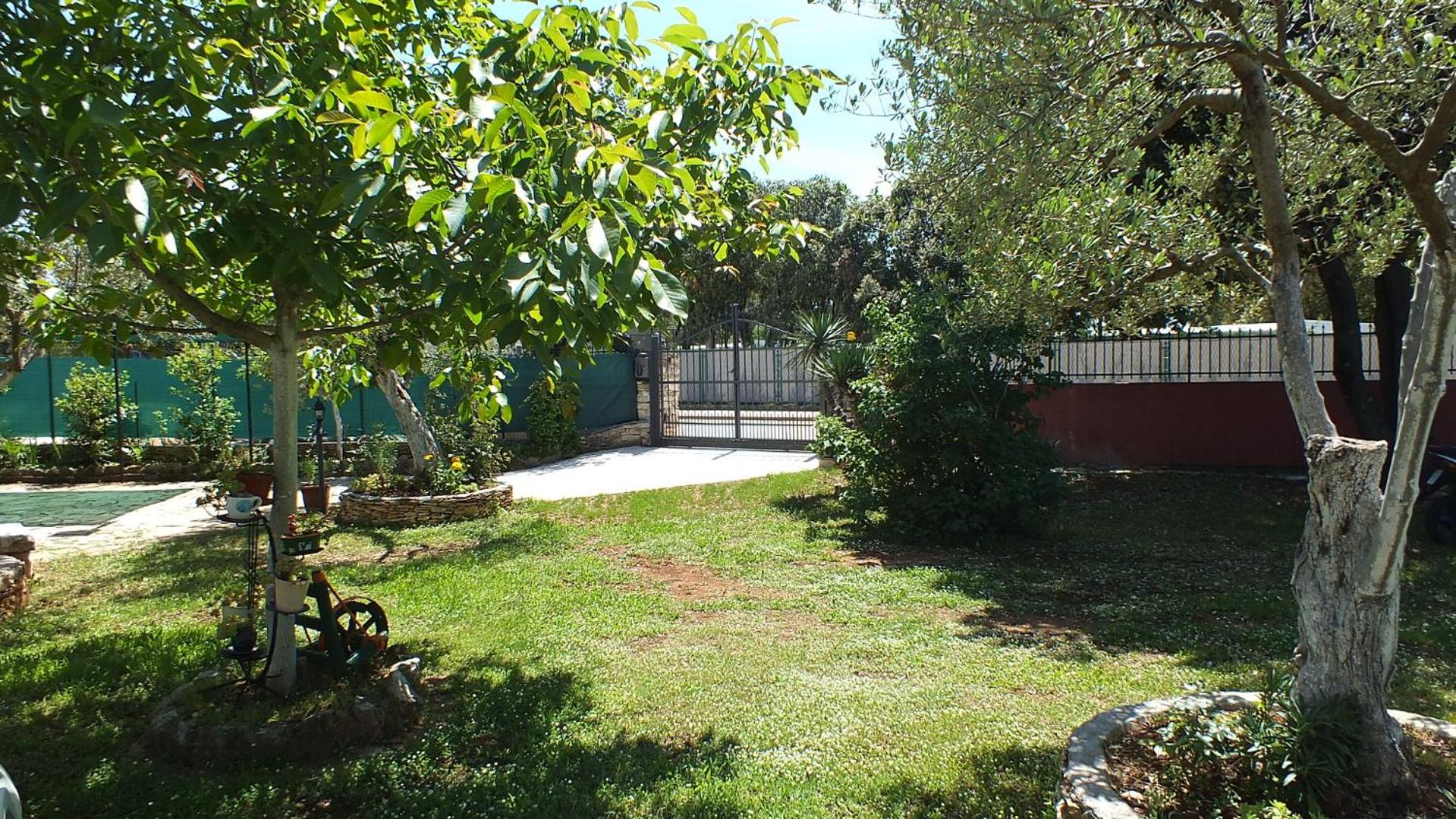 Photo 42