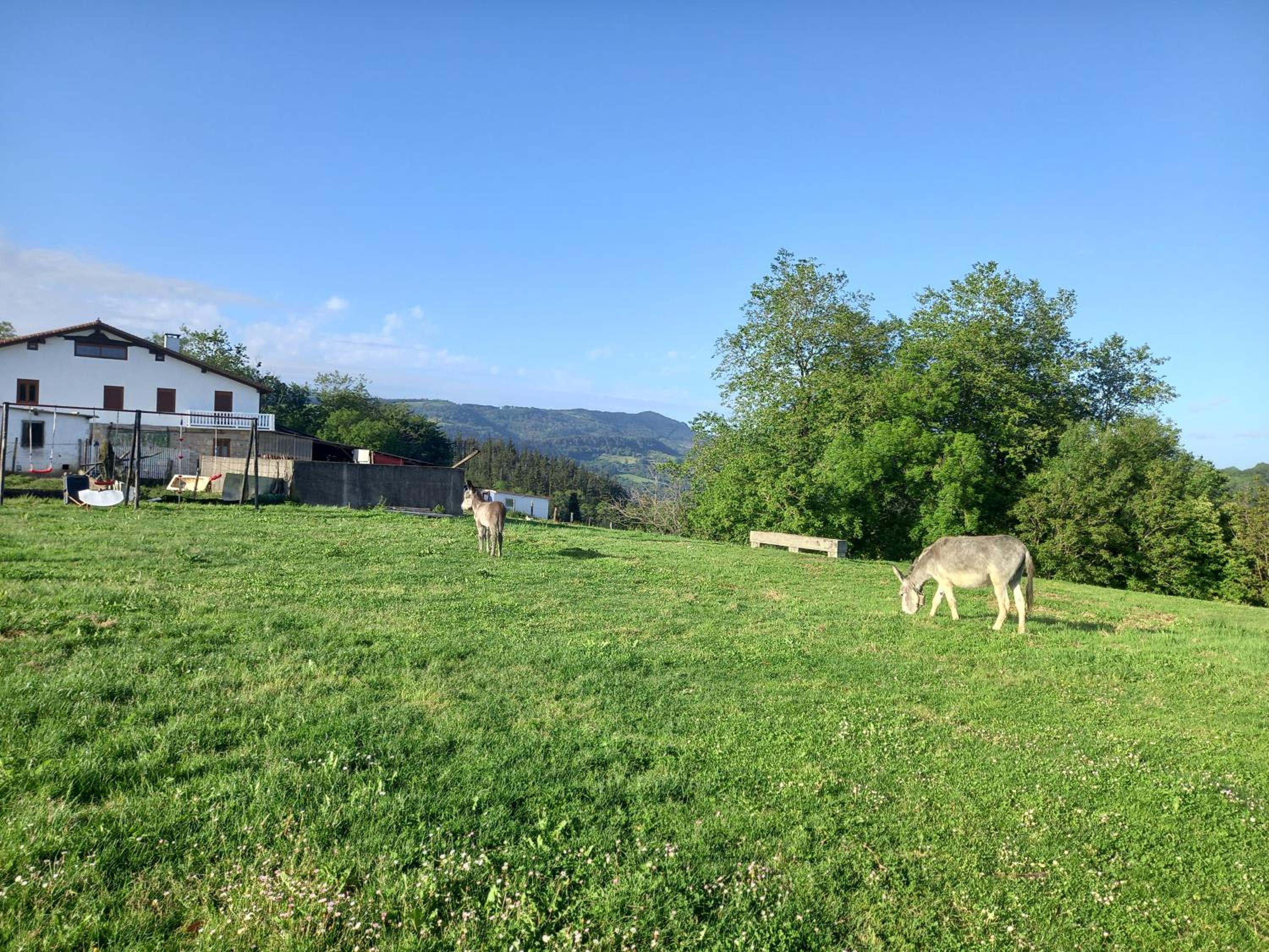 Agroturismo Pagoederraga