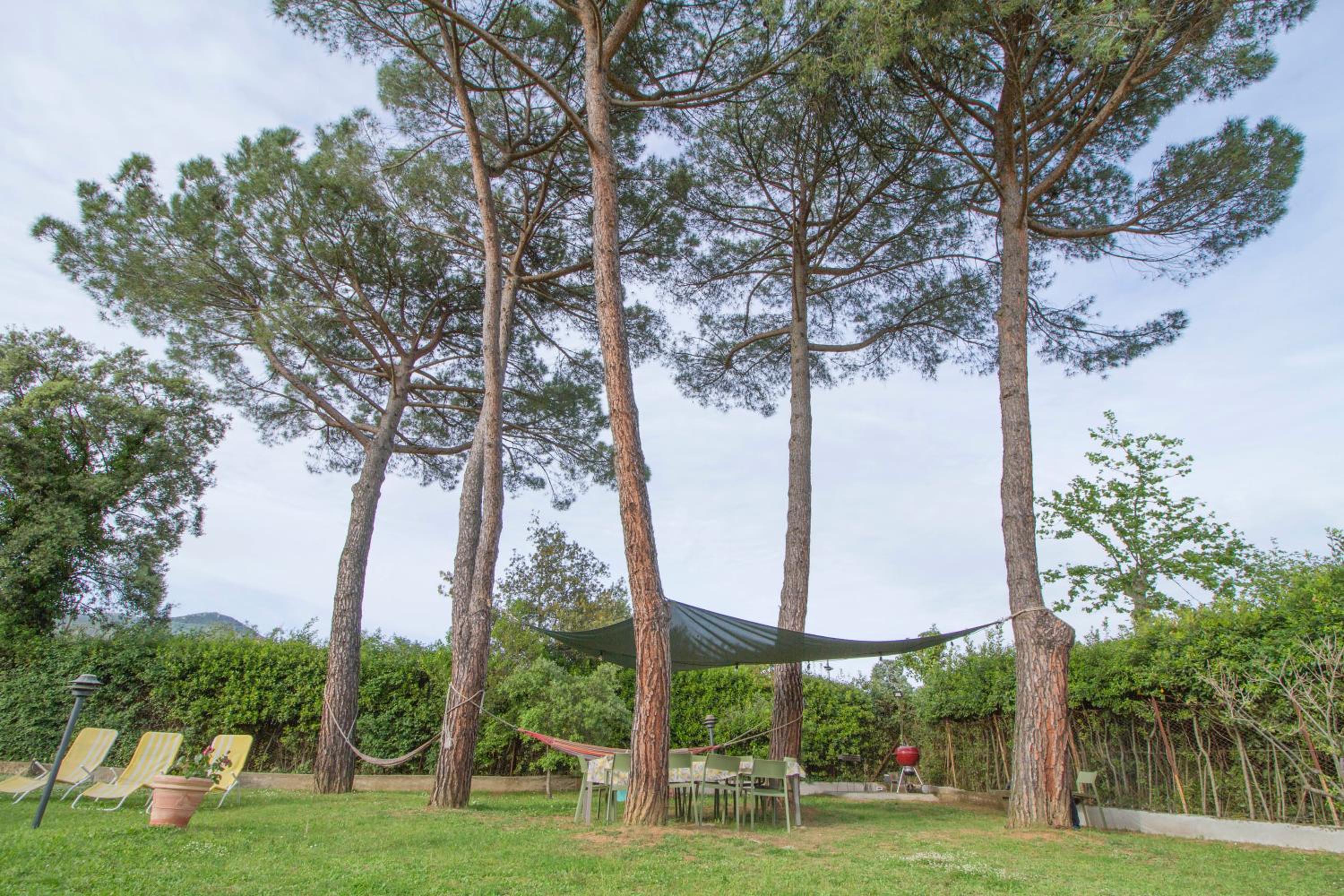 B&B PALAZZI