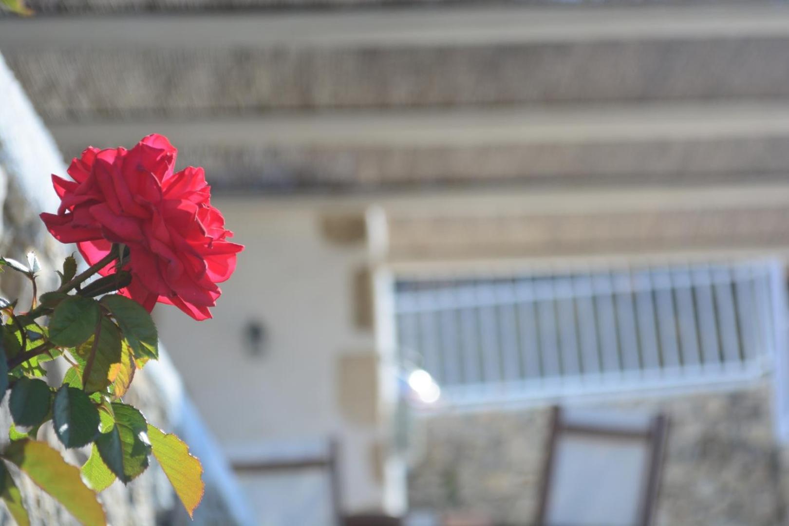 Anemolia Villa view 5