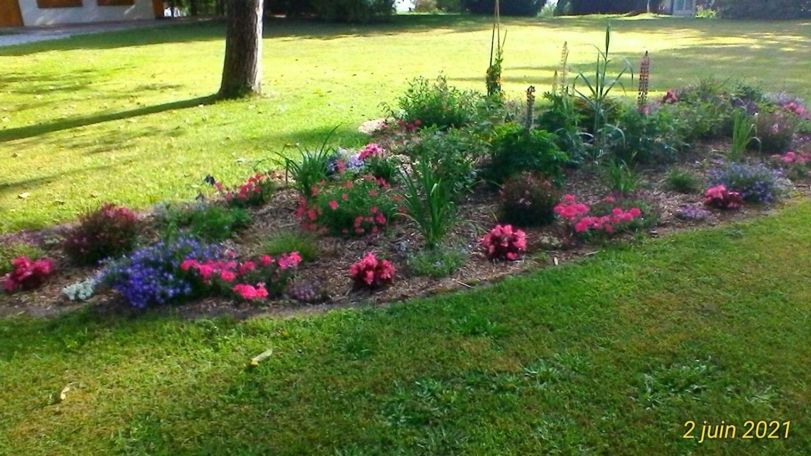 Photo 28