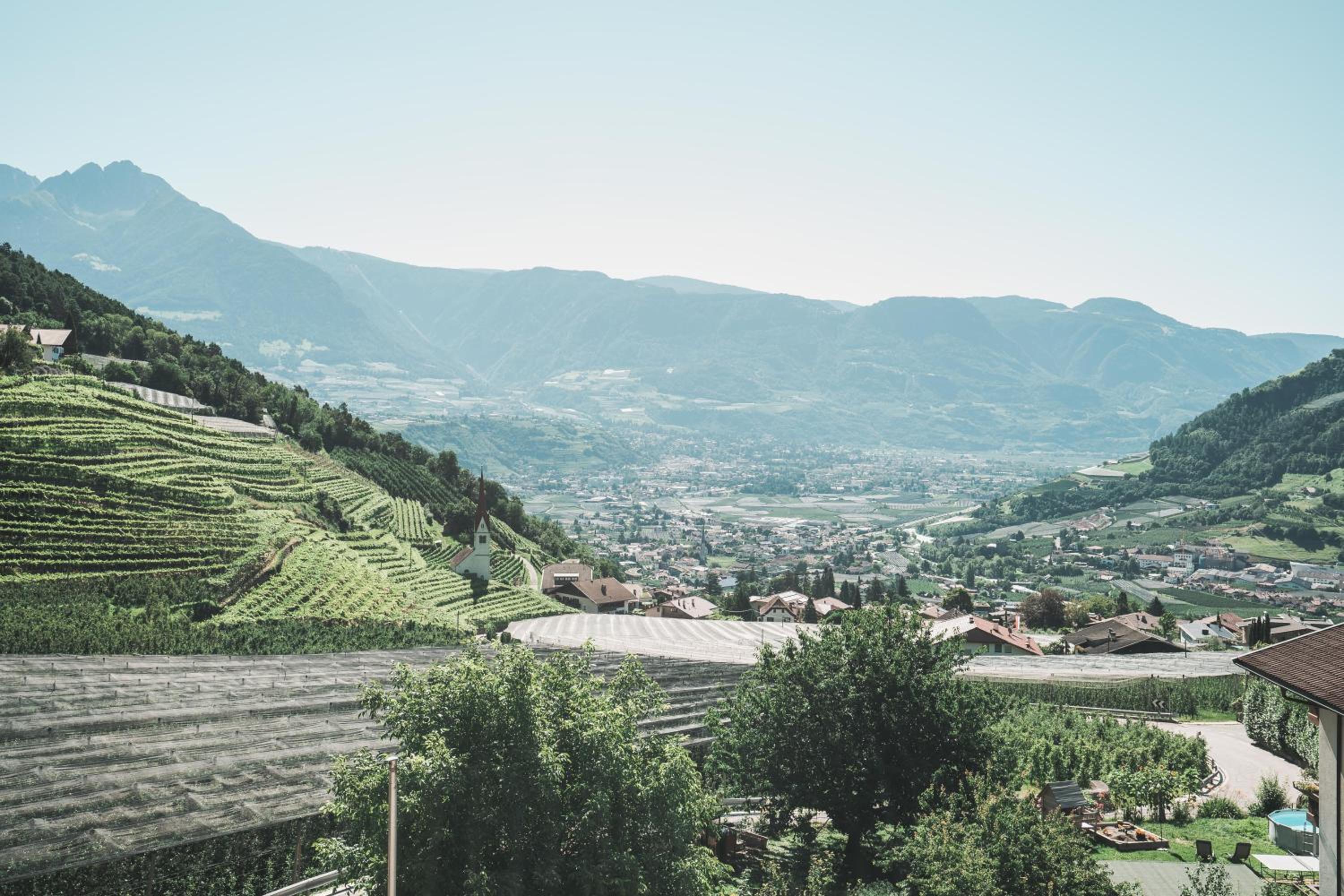 Hotel Am Sonneck photo 5