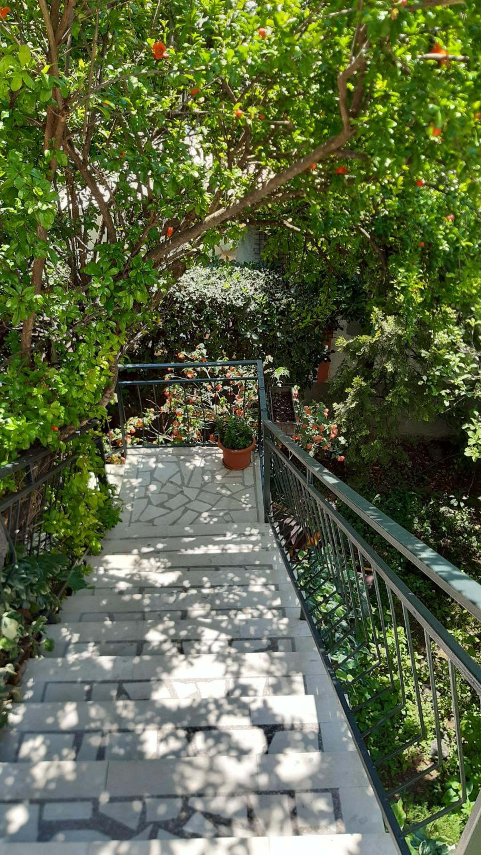 Guesthouse Mixe