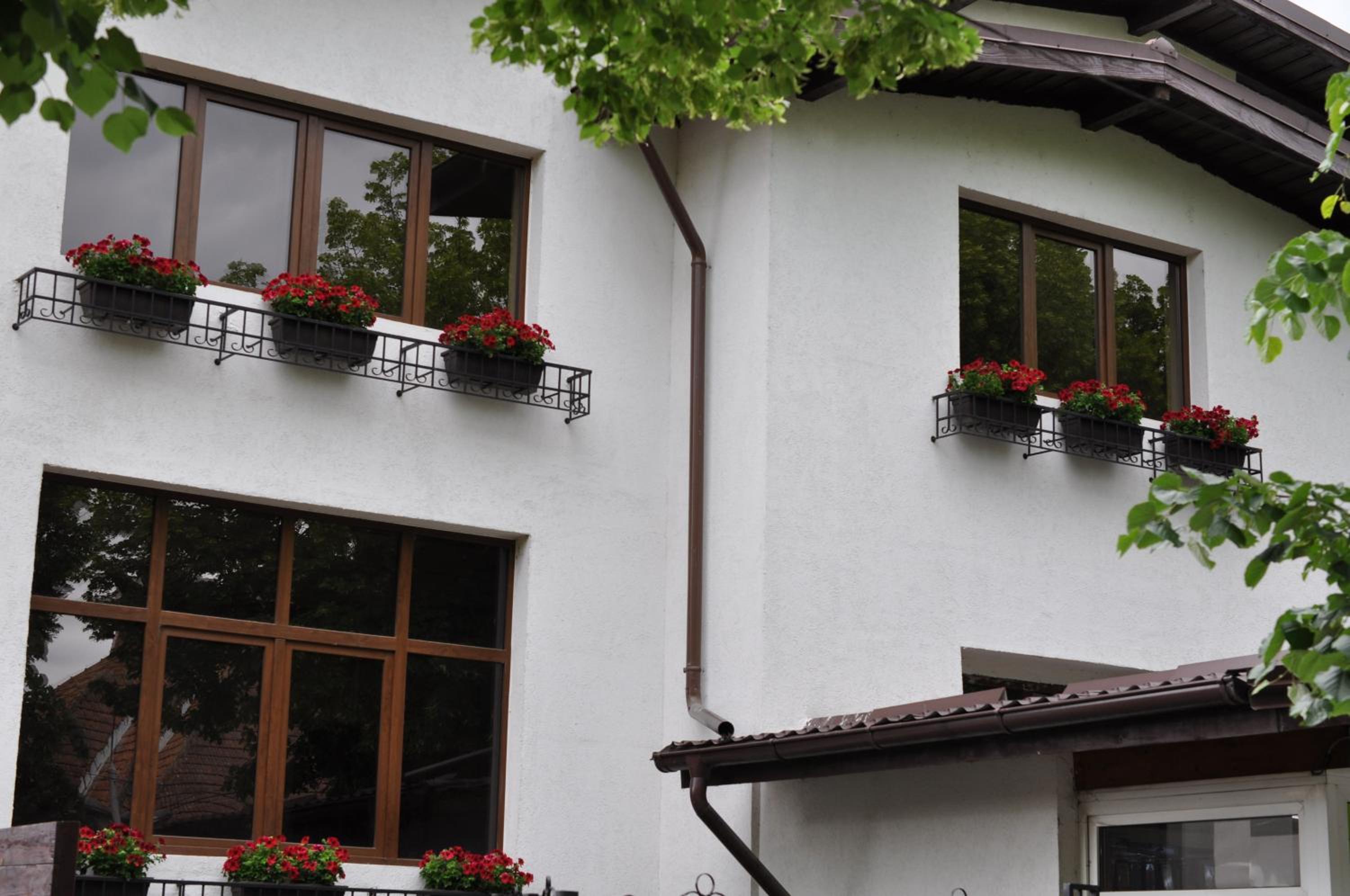 Casa Romaneasca, photo 12