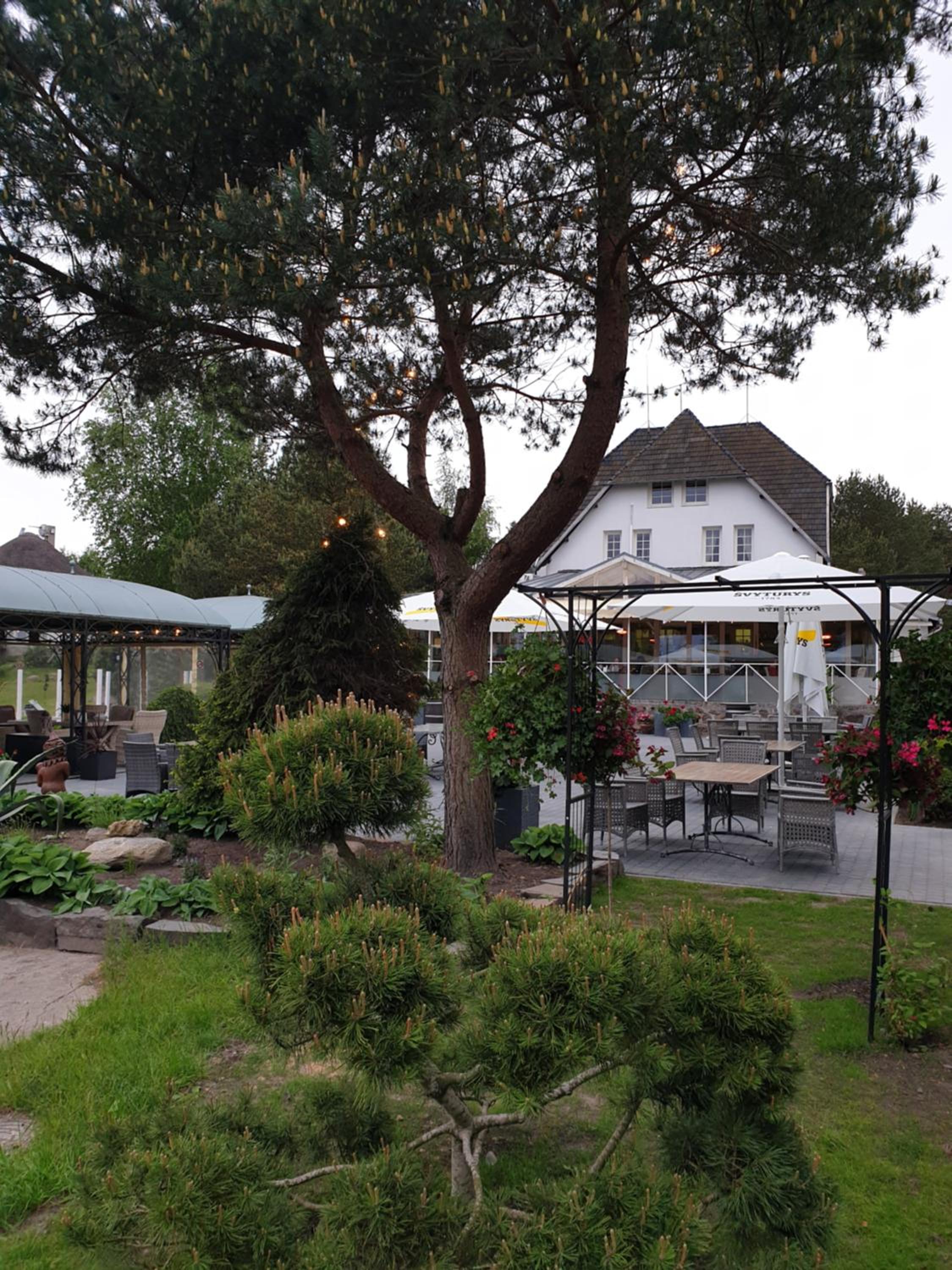 Vienkiemis view 2