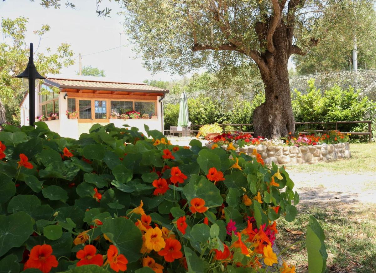 Villa Rosada photo 2