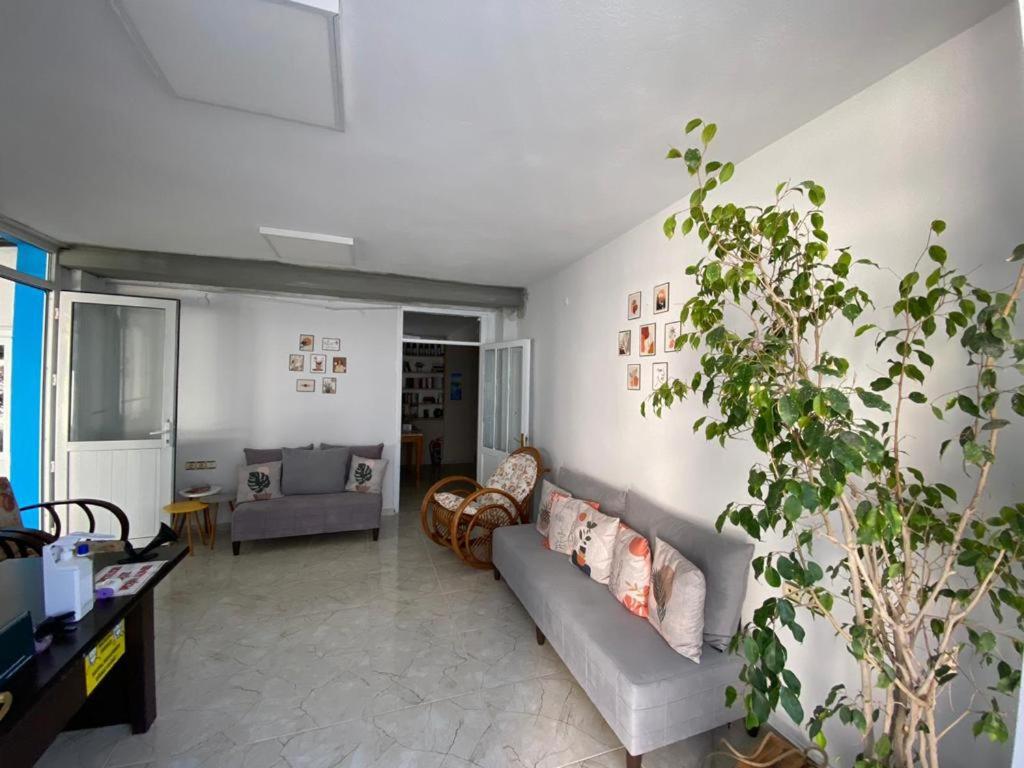 Nese Hotel - Image 39