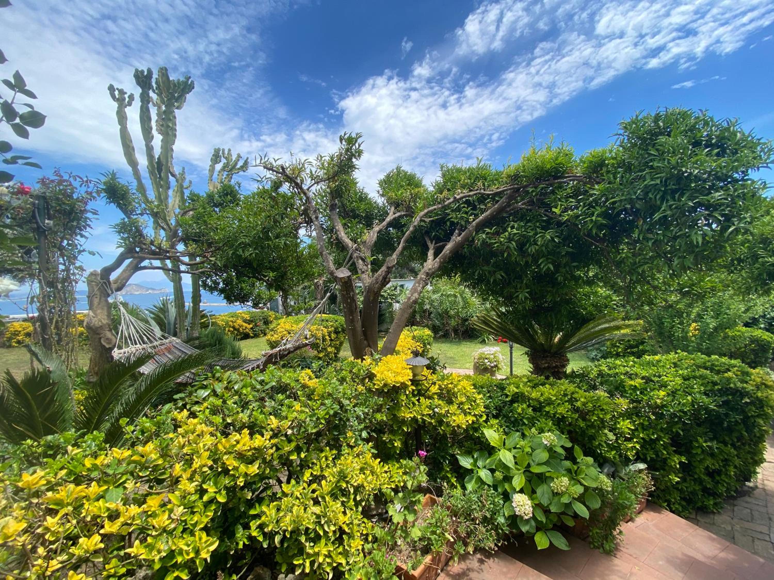 Summer Paradise photo 4