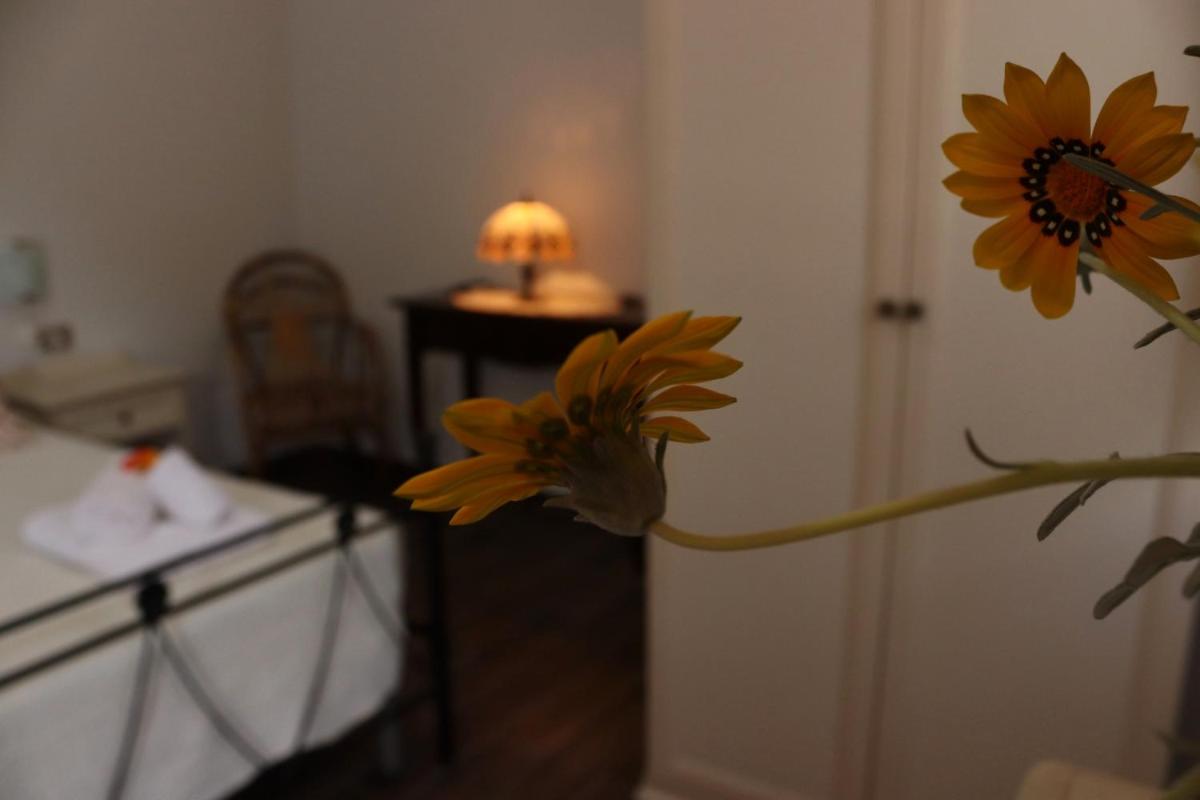 Villa Rosada photo 5