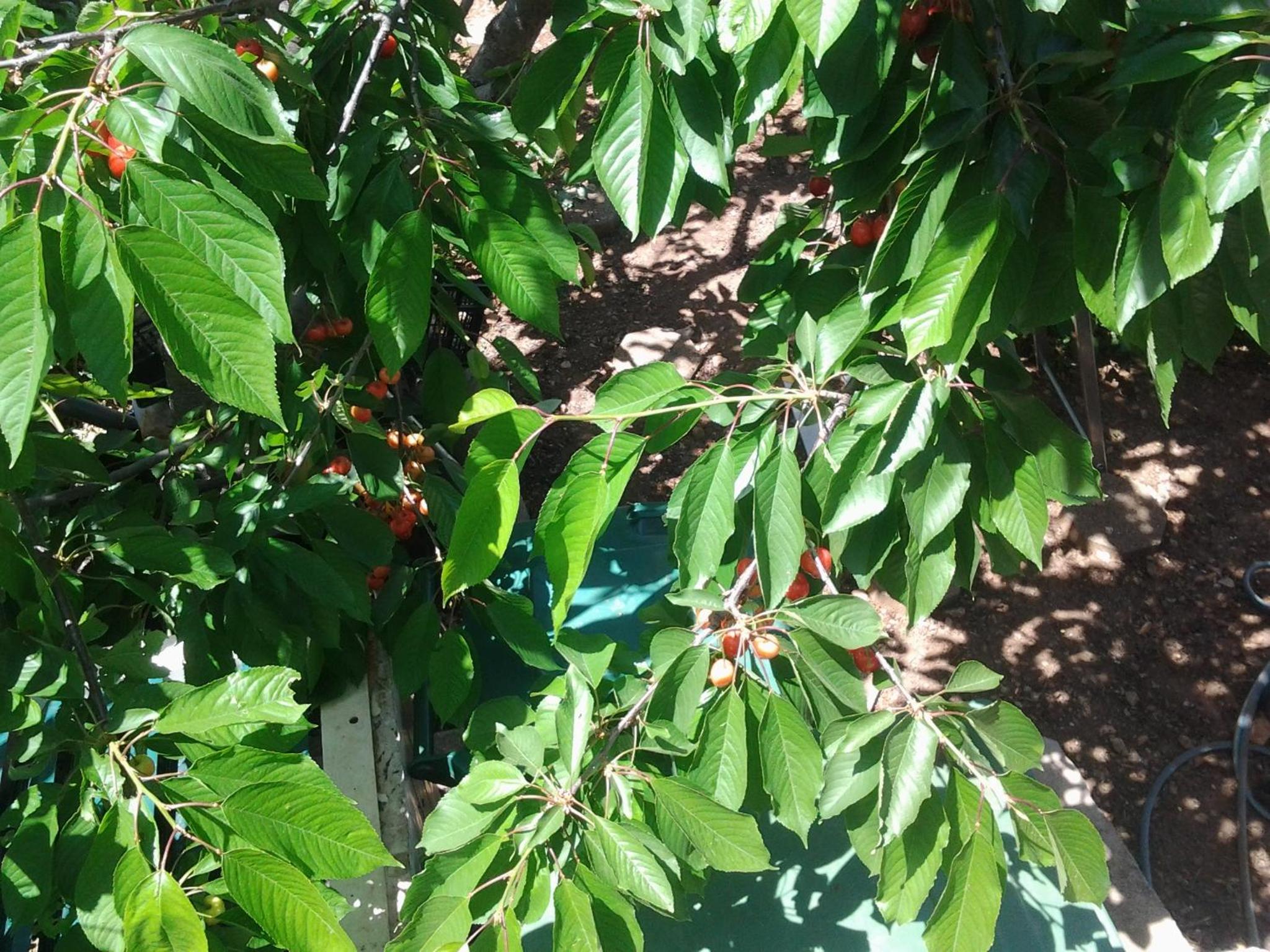 Photo 28