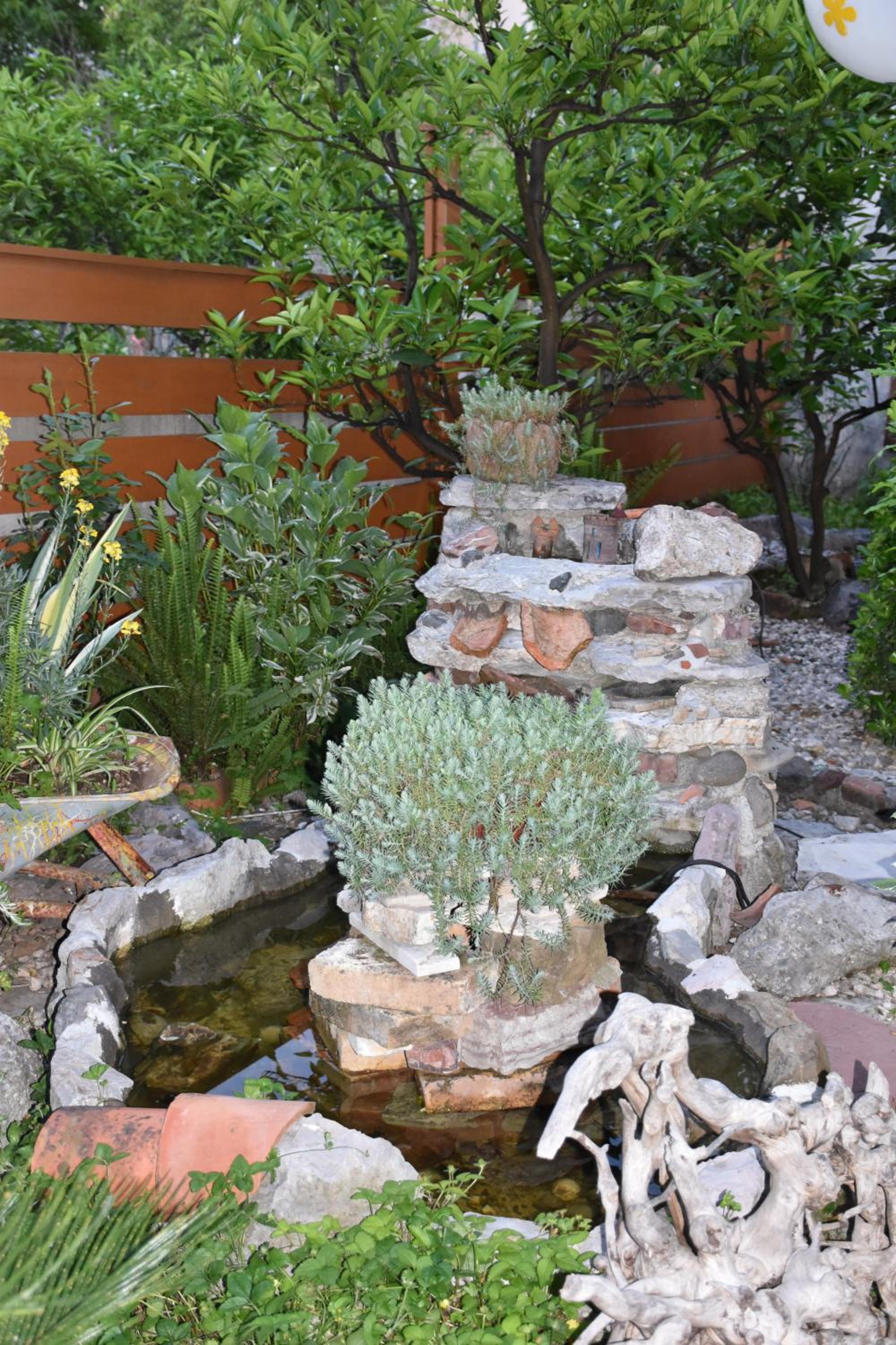 Photo 44