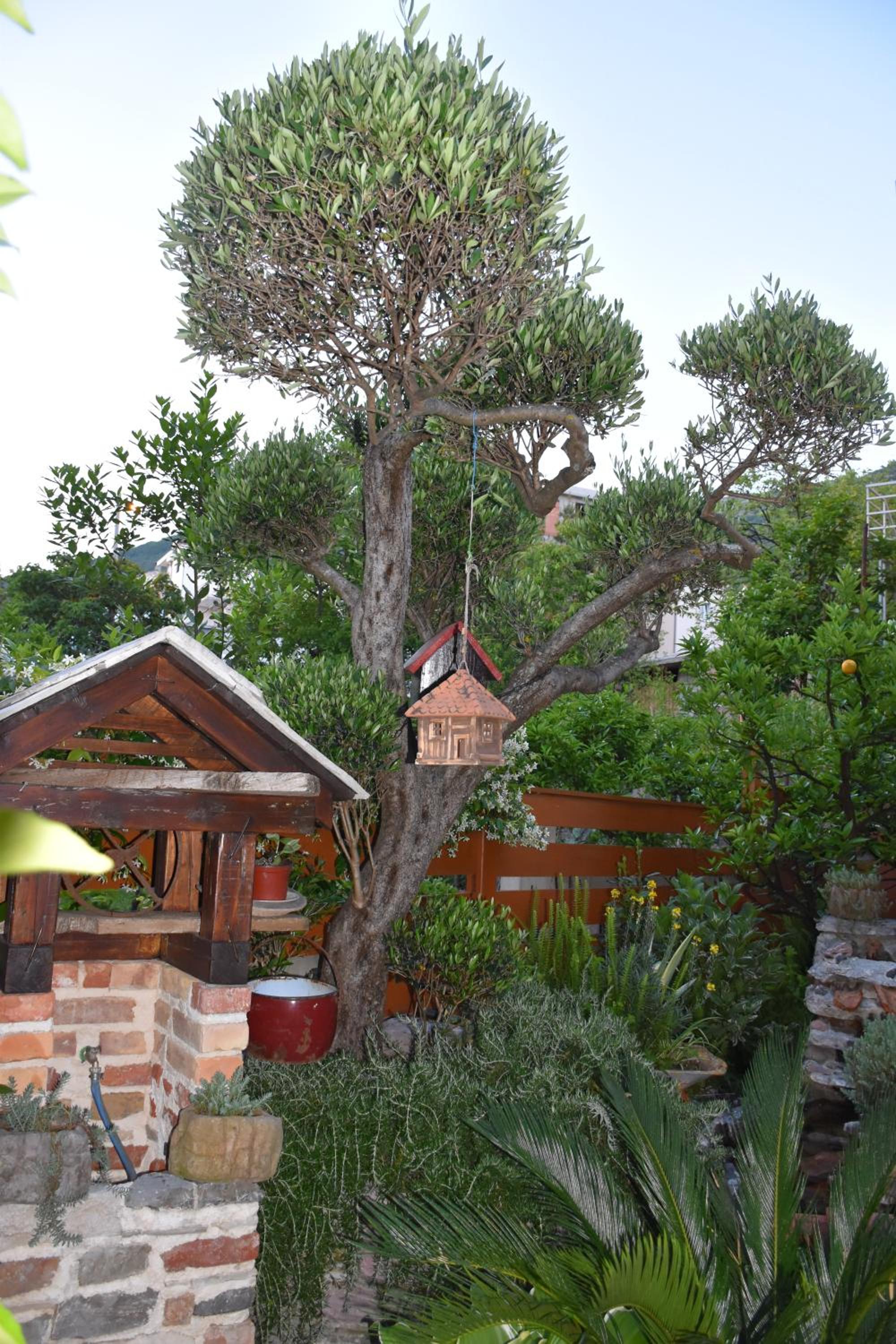 Photo 47