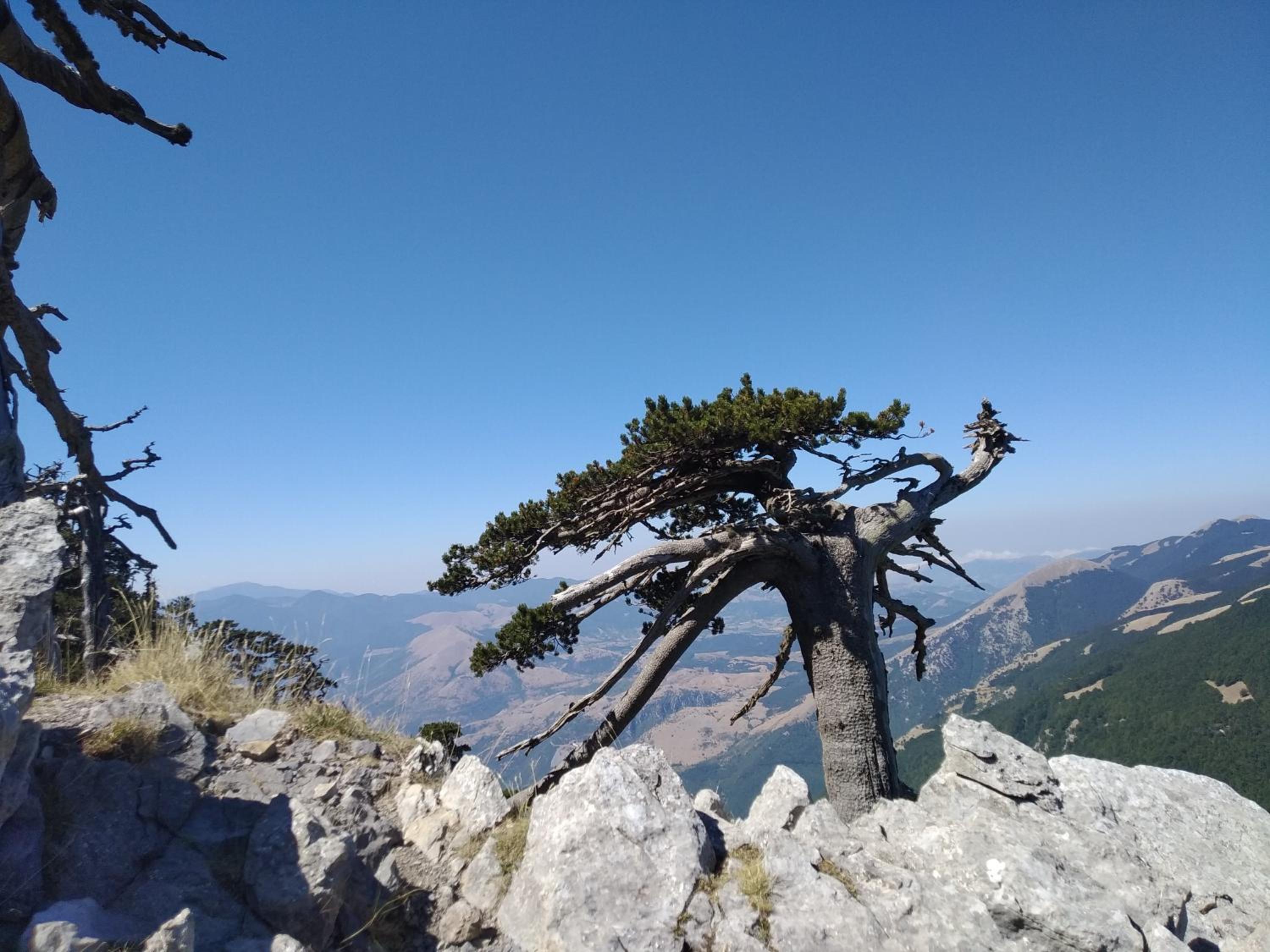 Photo 48