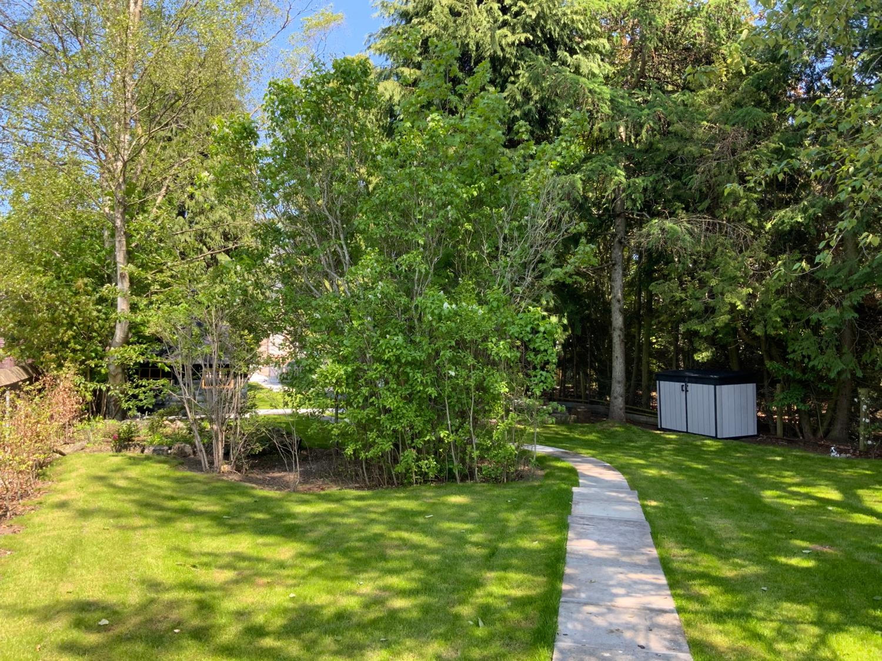 Photo 36