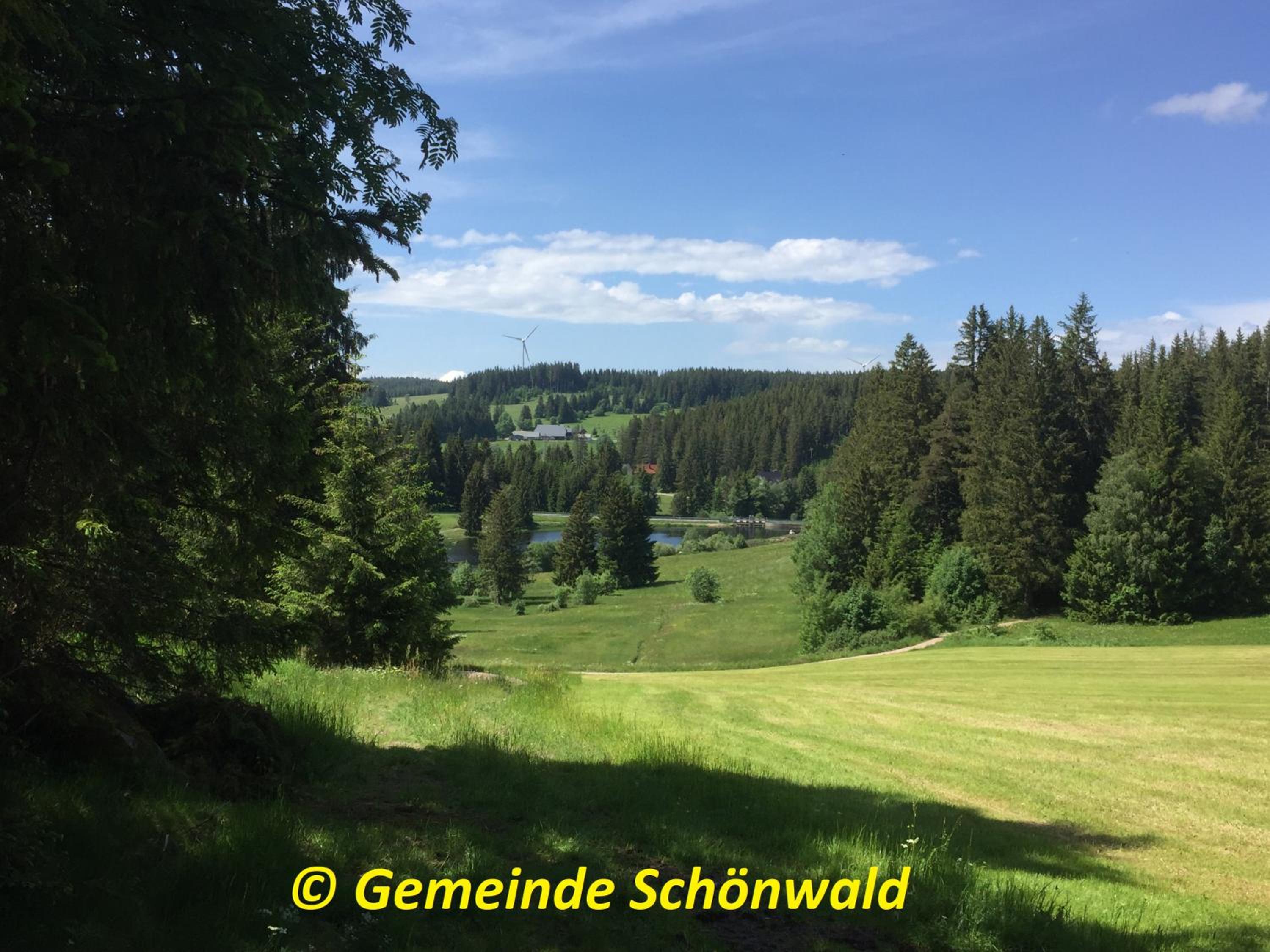 Schwarzwaldblick view 4