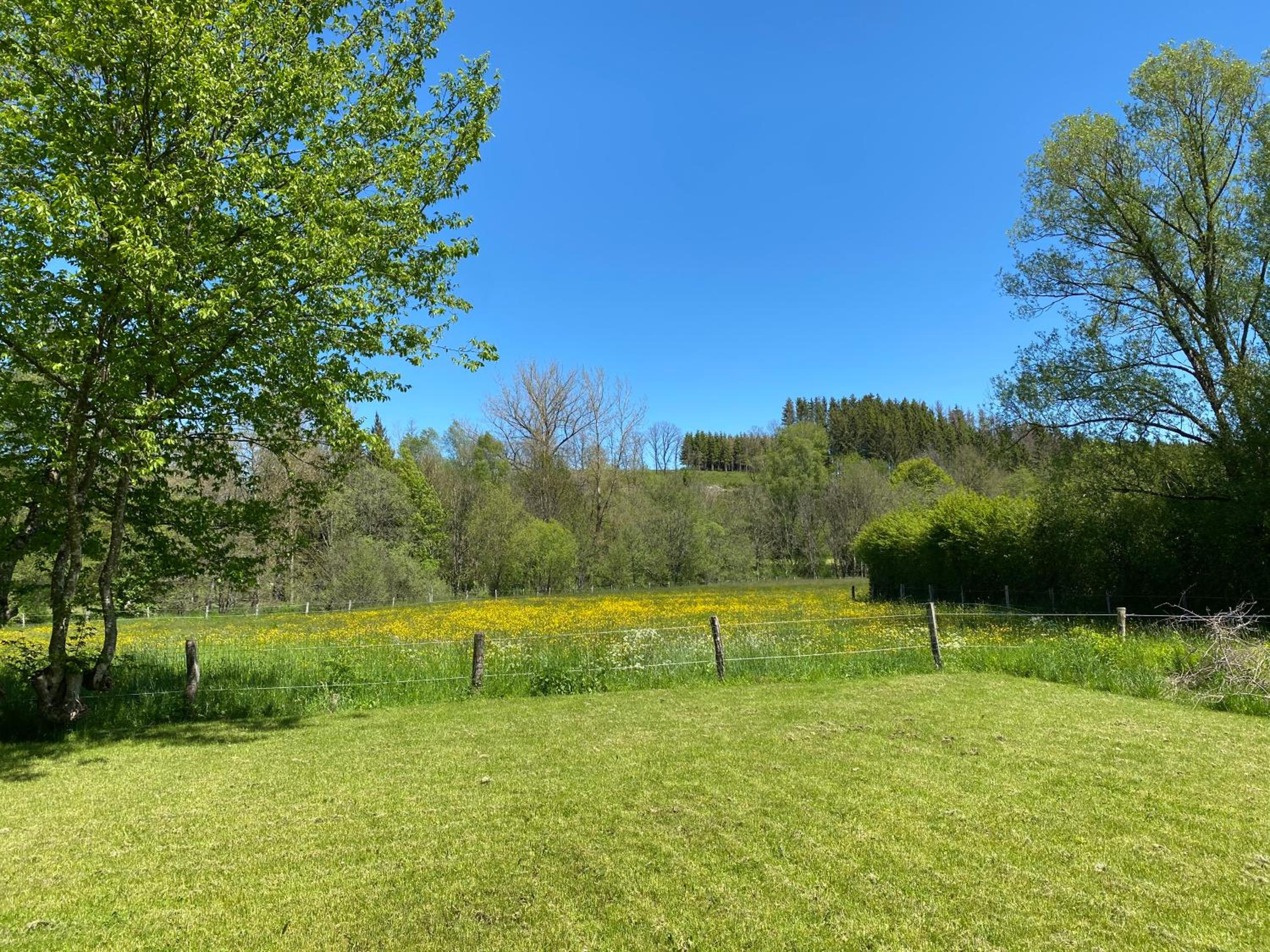 Le Scailleteux - Gîte de charme clôturé, accès à la rivière