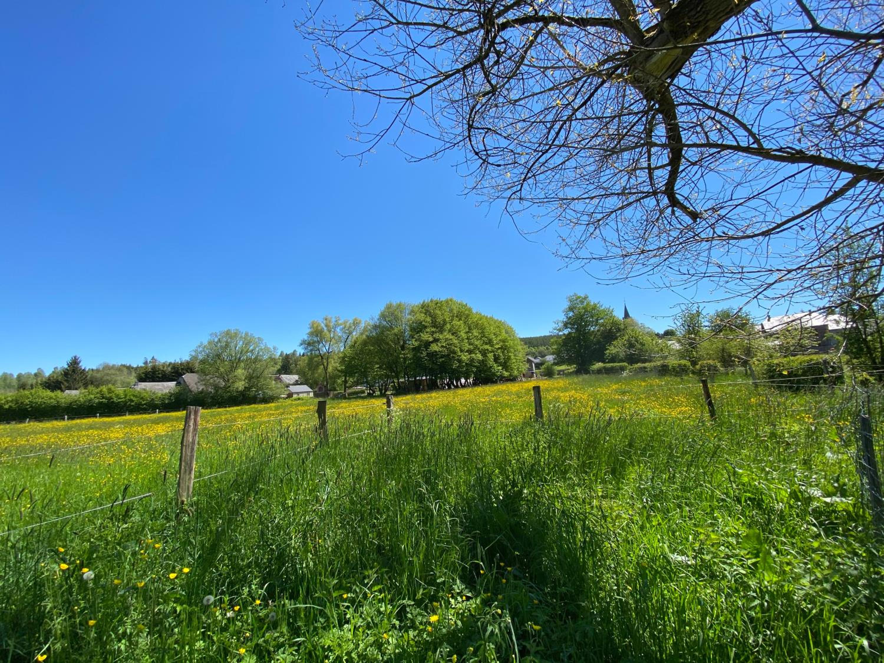Le Scailleteux - Gîte de charme clôturé, accès à la rivière