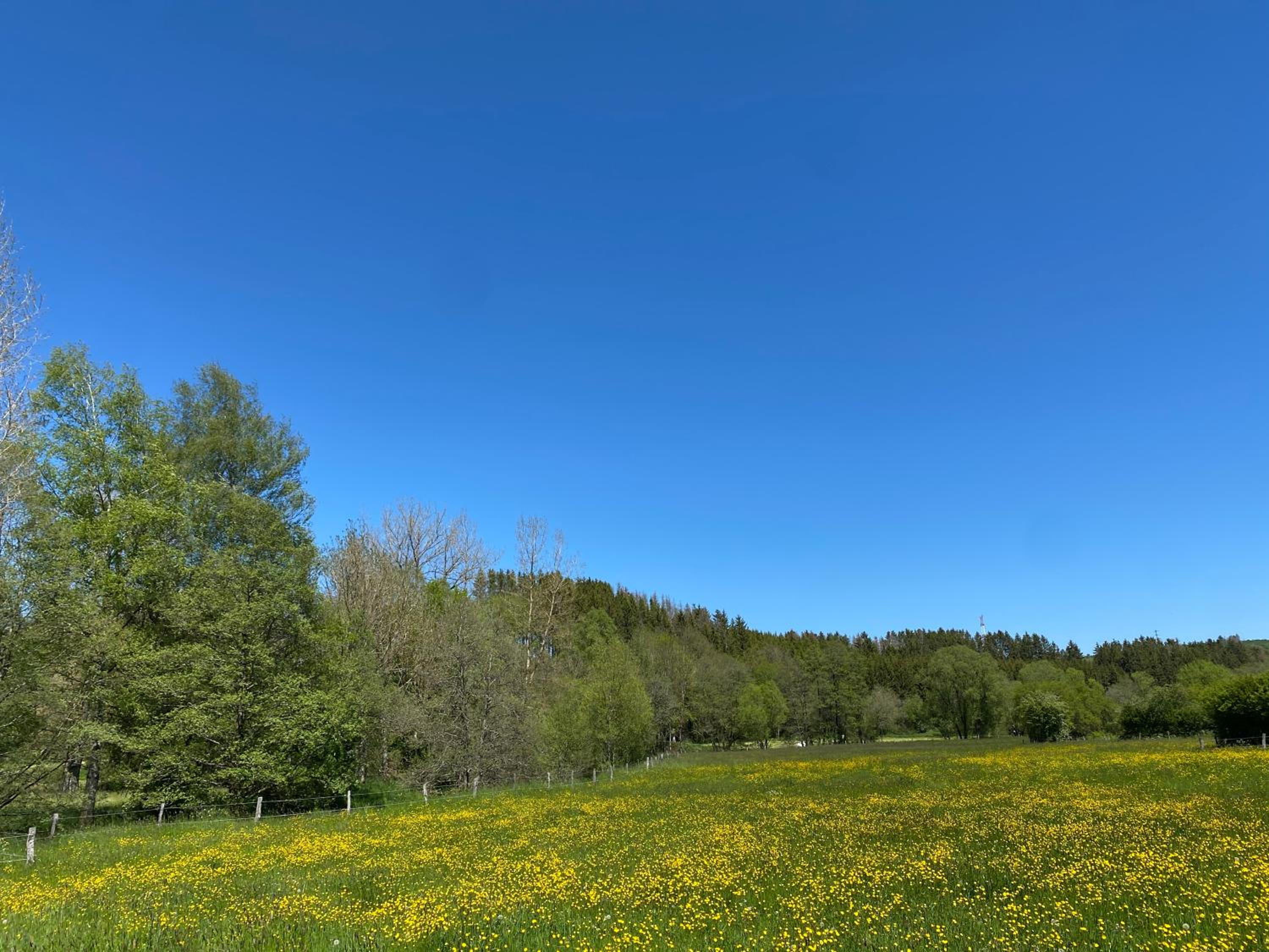 Le Scailleteux - Gîte de charme clôturé, accès à la rivière