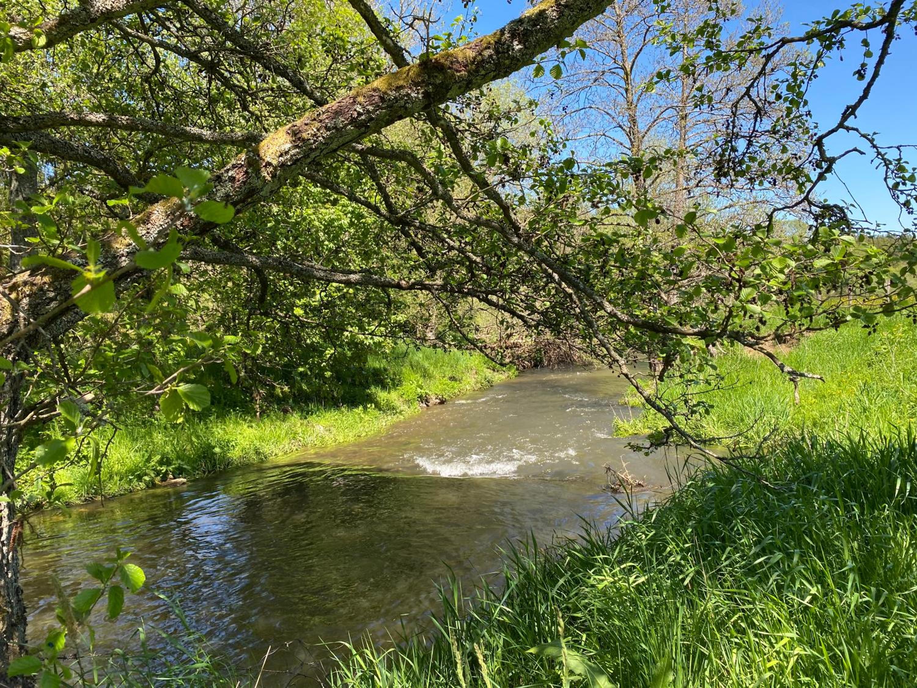 Le Scailleteux - Gîte de charme clôturé, accès à la rivière