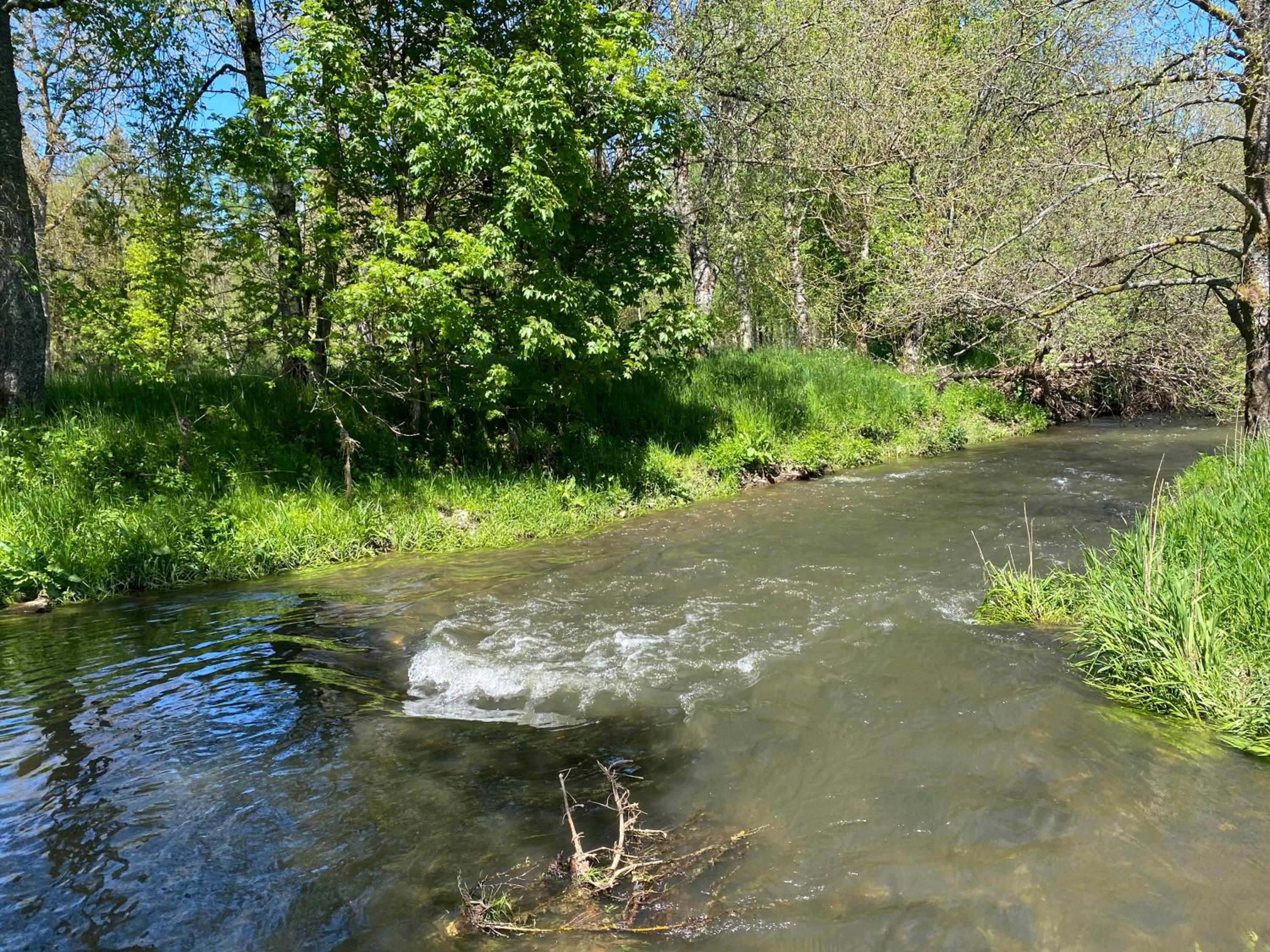Le Scailleteux - Gîte de charme clôturé, accès à la rivière