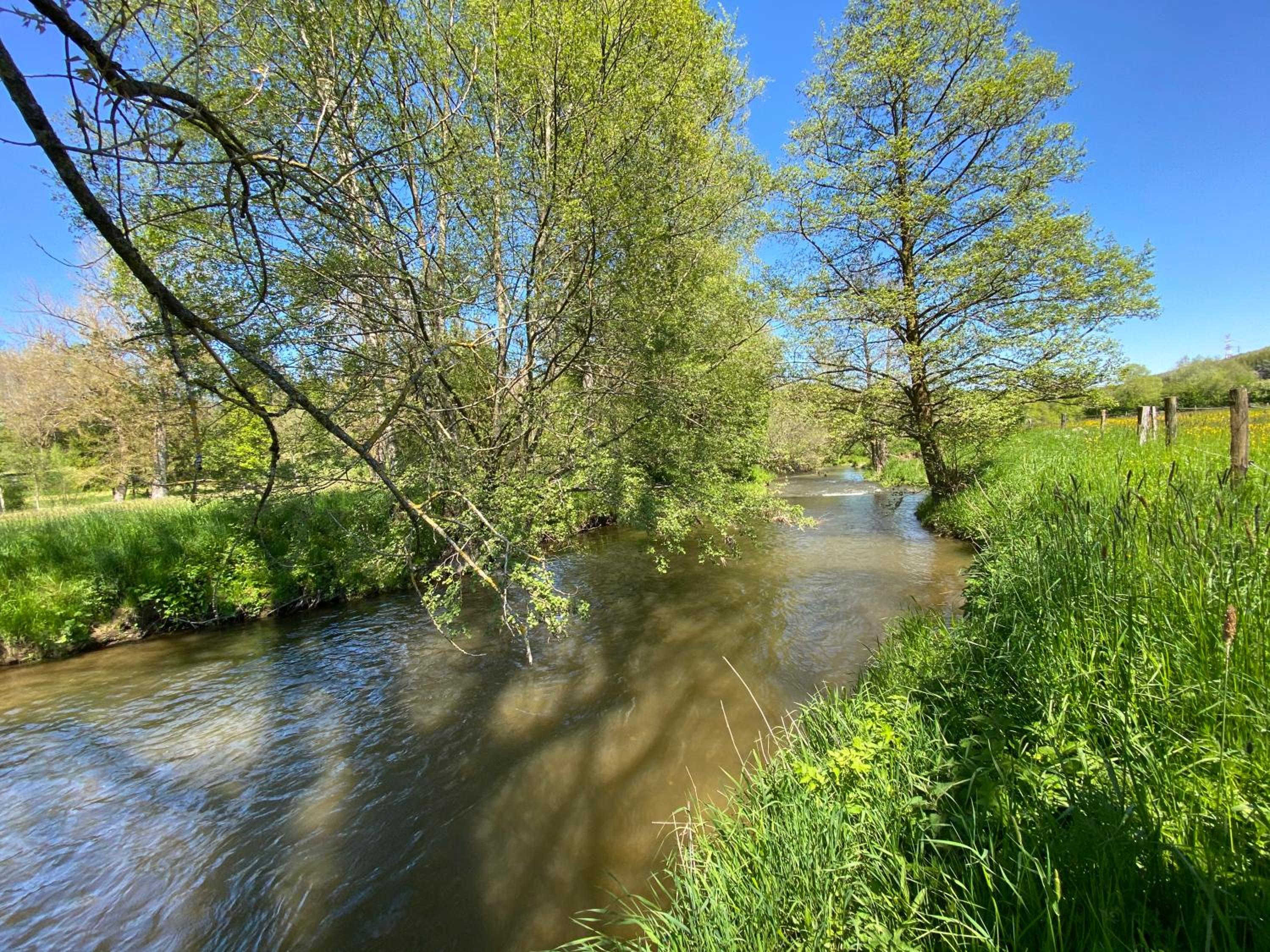 Le Scailleteux - Gîte de charme clôturé, accès à la rivière