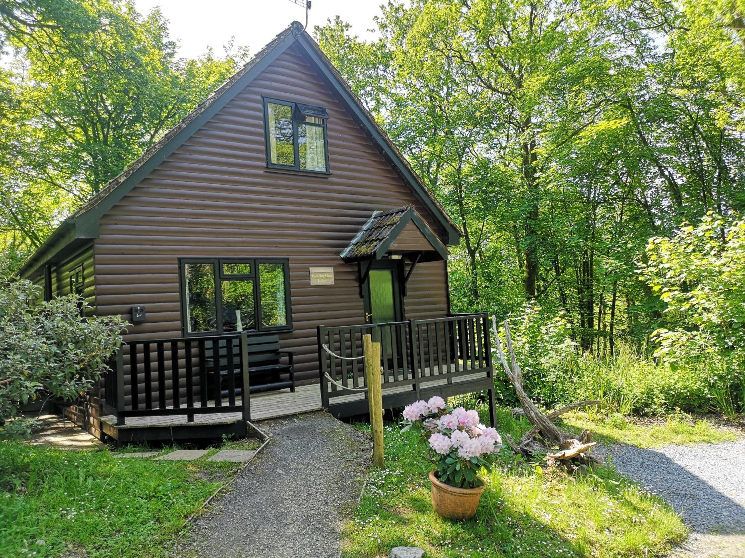 Hotel PrancingHare Lodge-Woodland Lodges-Pembrokshire - Image 1