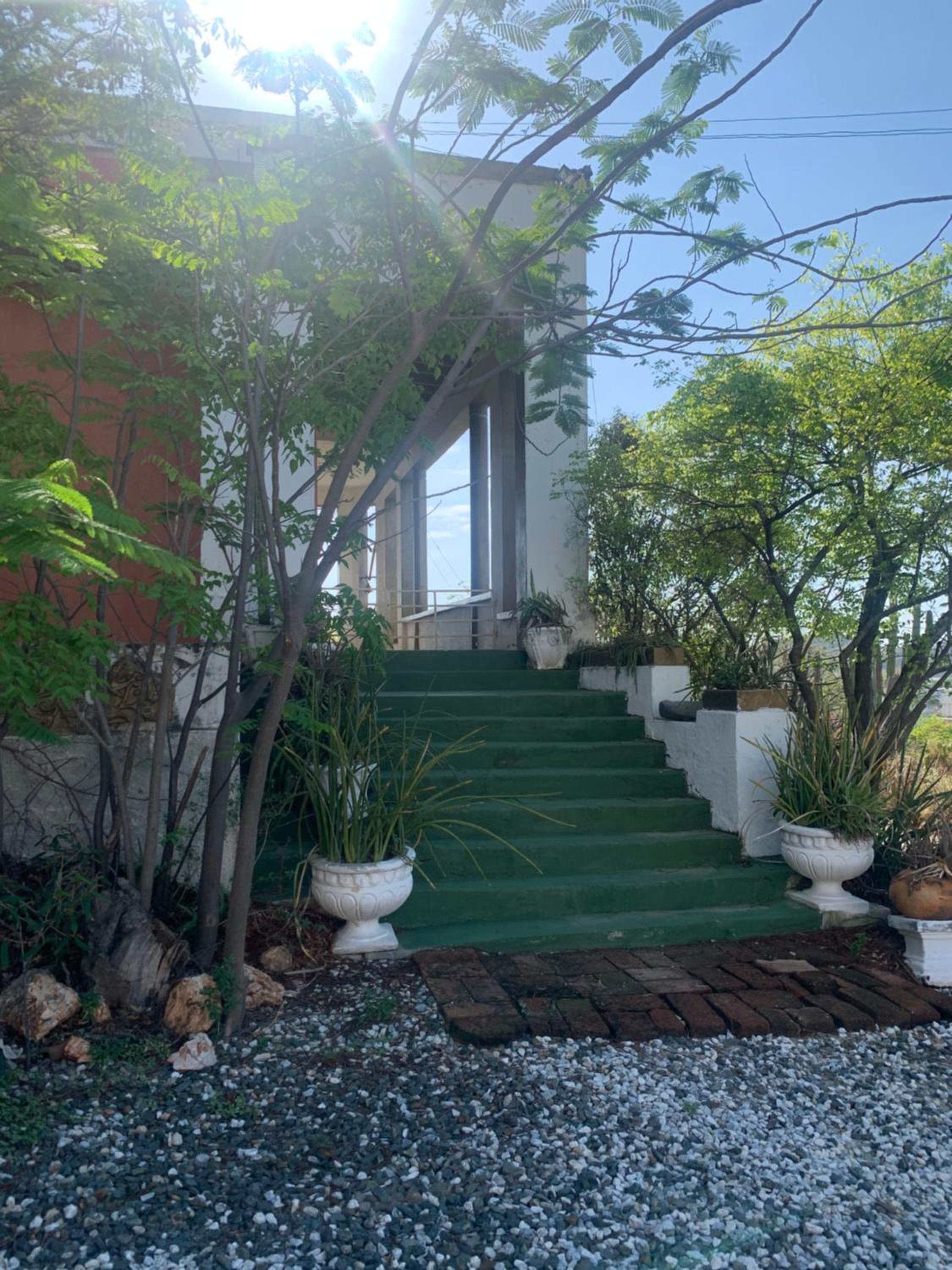 Jardin Etnobotanico Villa Ludovica