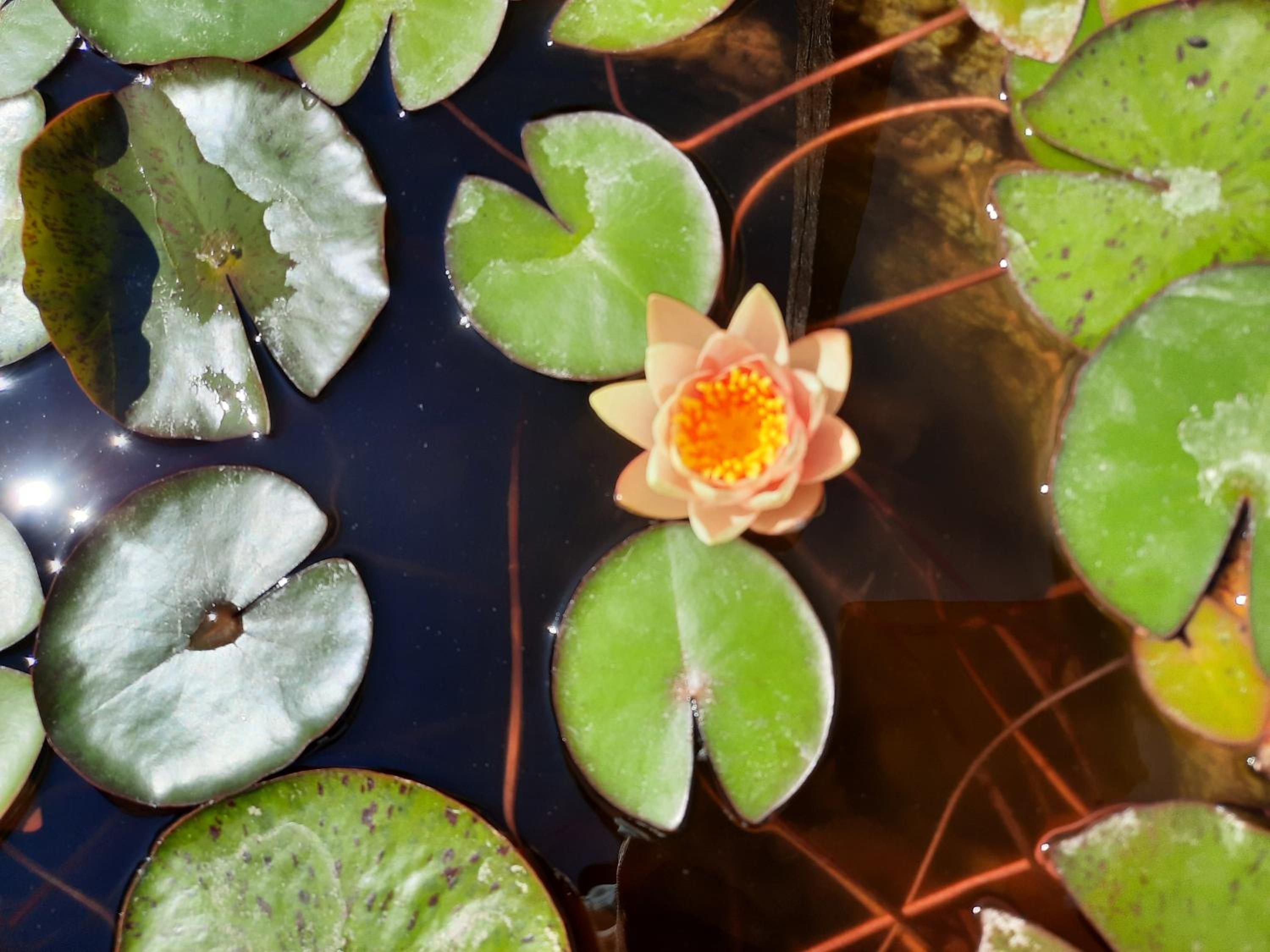 Photo 28