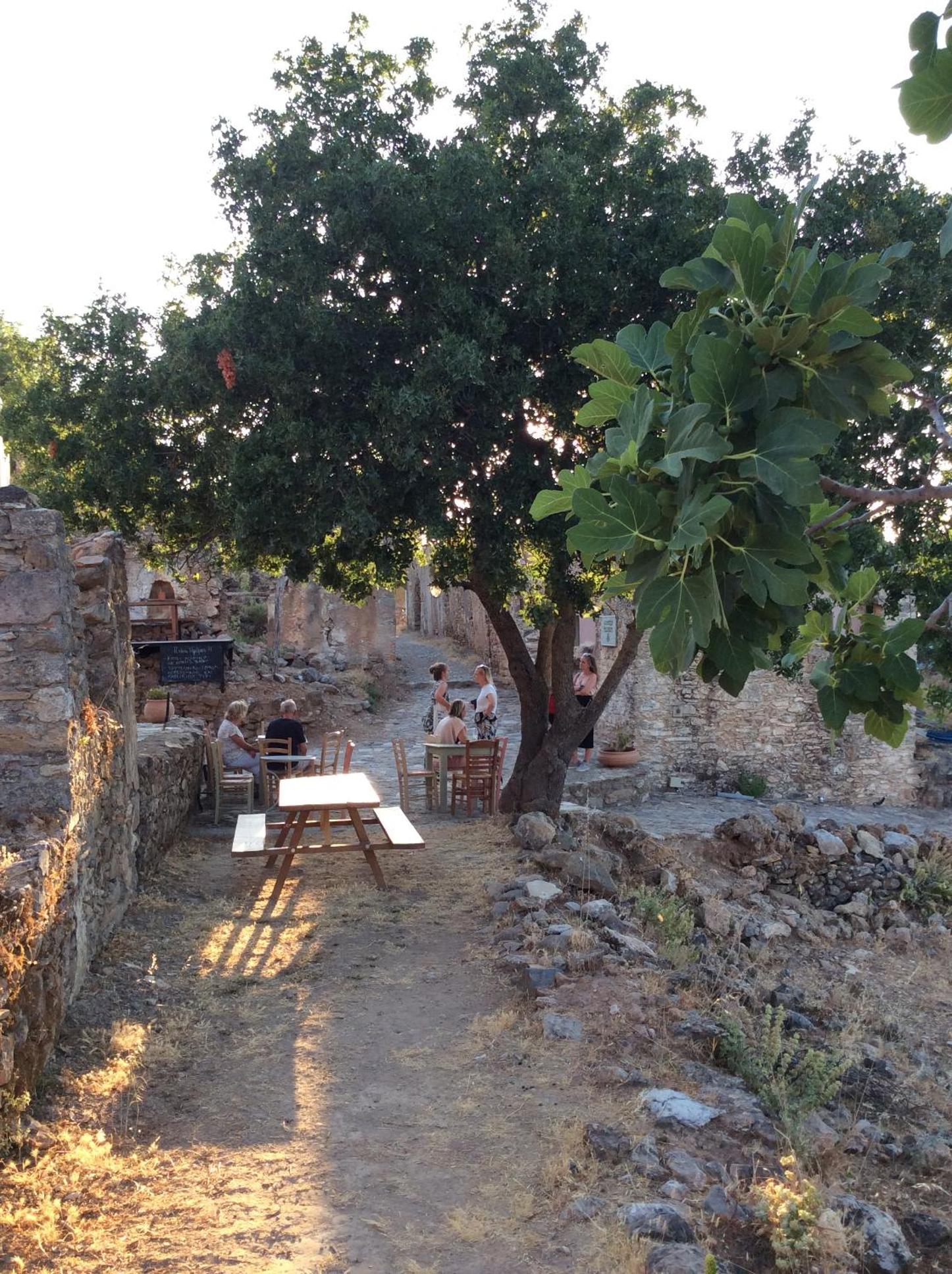 Chaihoutes stone villa into Olive farm in Zia